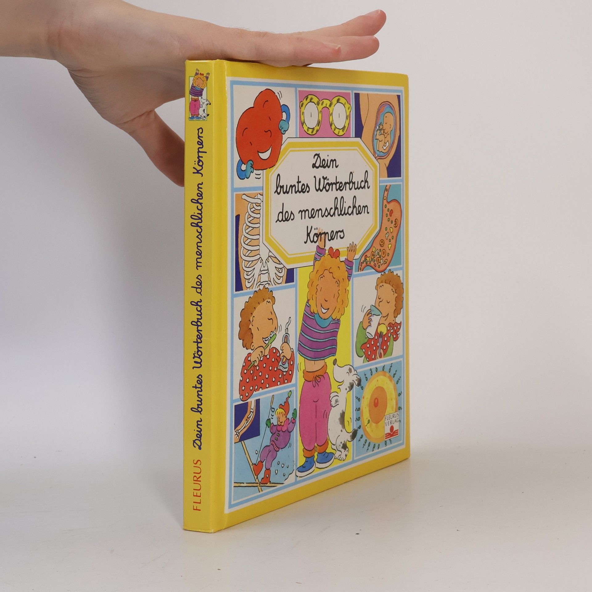 Dein buntes Wörterbuch des menschlichen Körpers