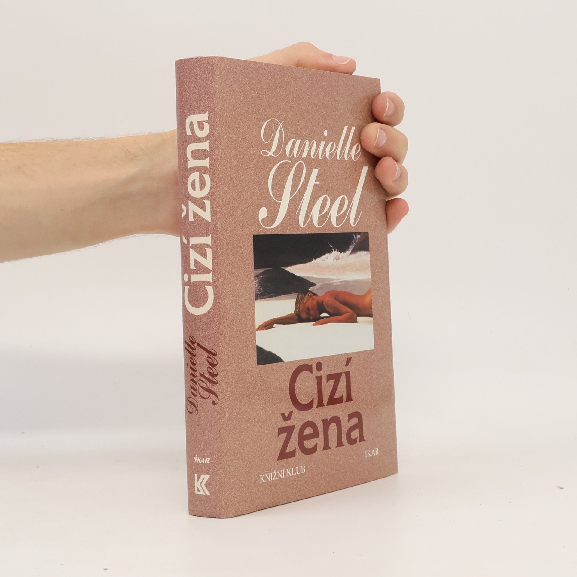 Danielle Steel Cizí žena
