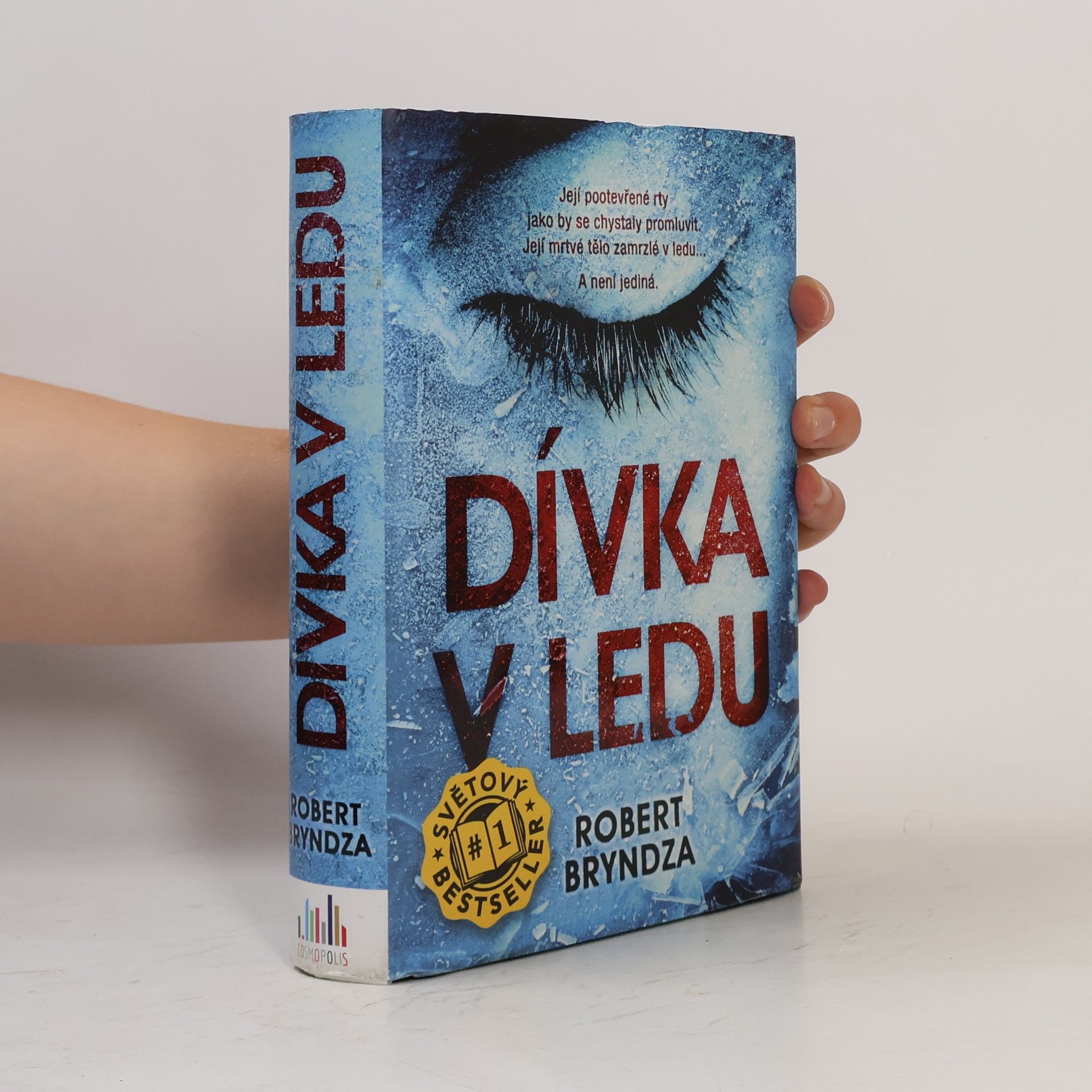 Robert Bryndza Dívka v ledu
