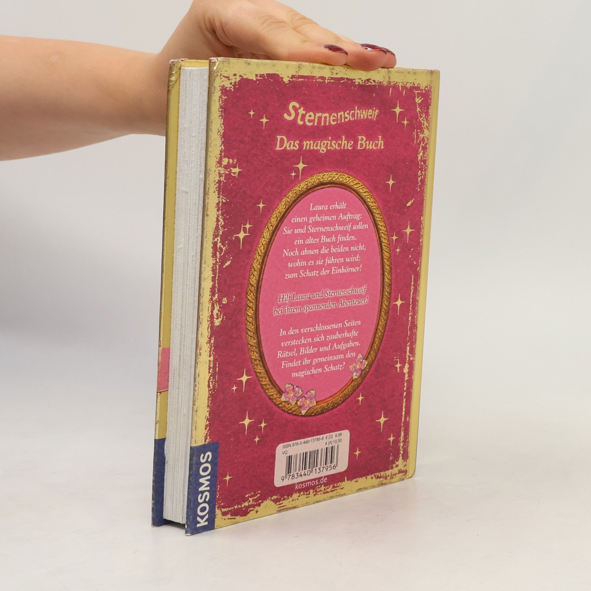 Carolin Ina Schröter Sternenschweif - das magische Buch