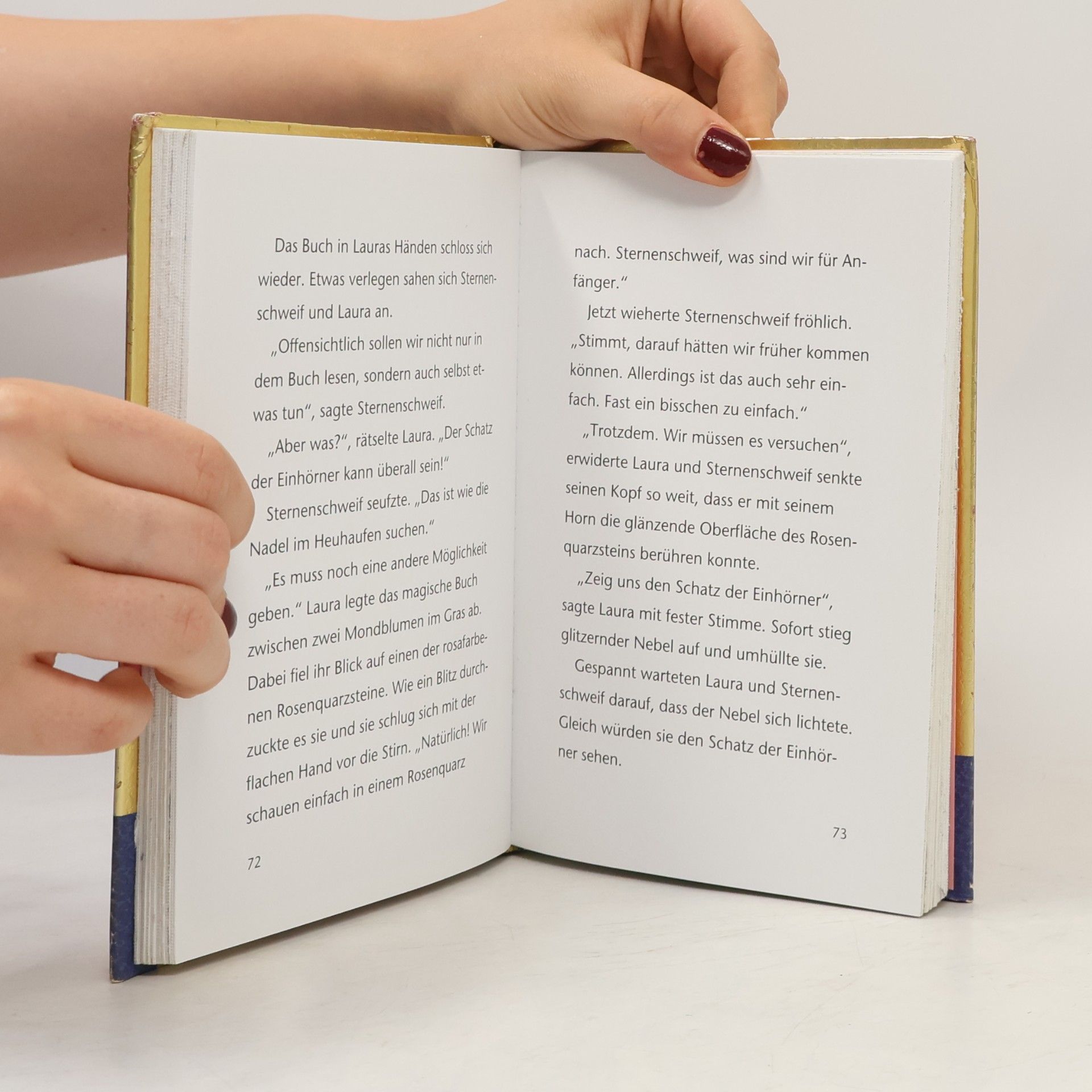 Carolin Ina Schröter Sternenschweif - das magische Buch