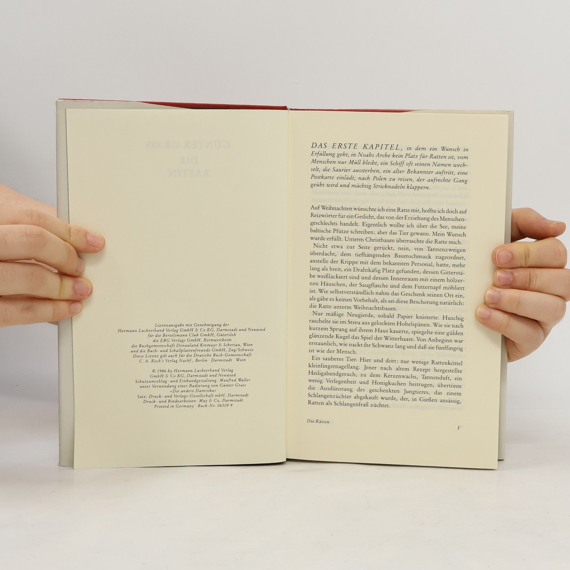 Günter Grass Die Rättin