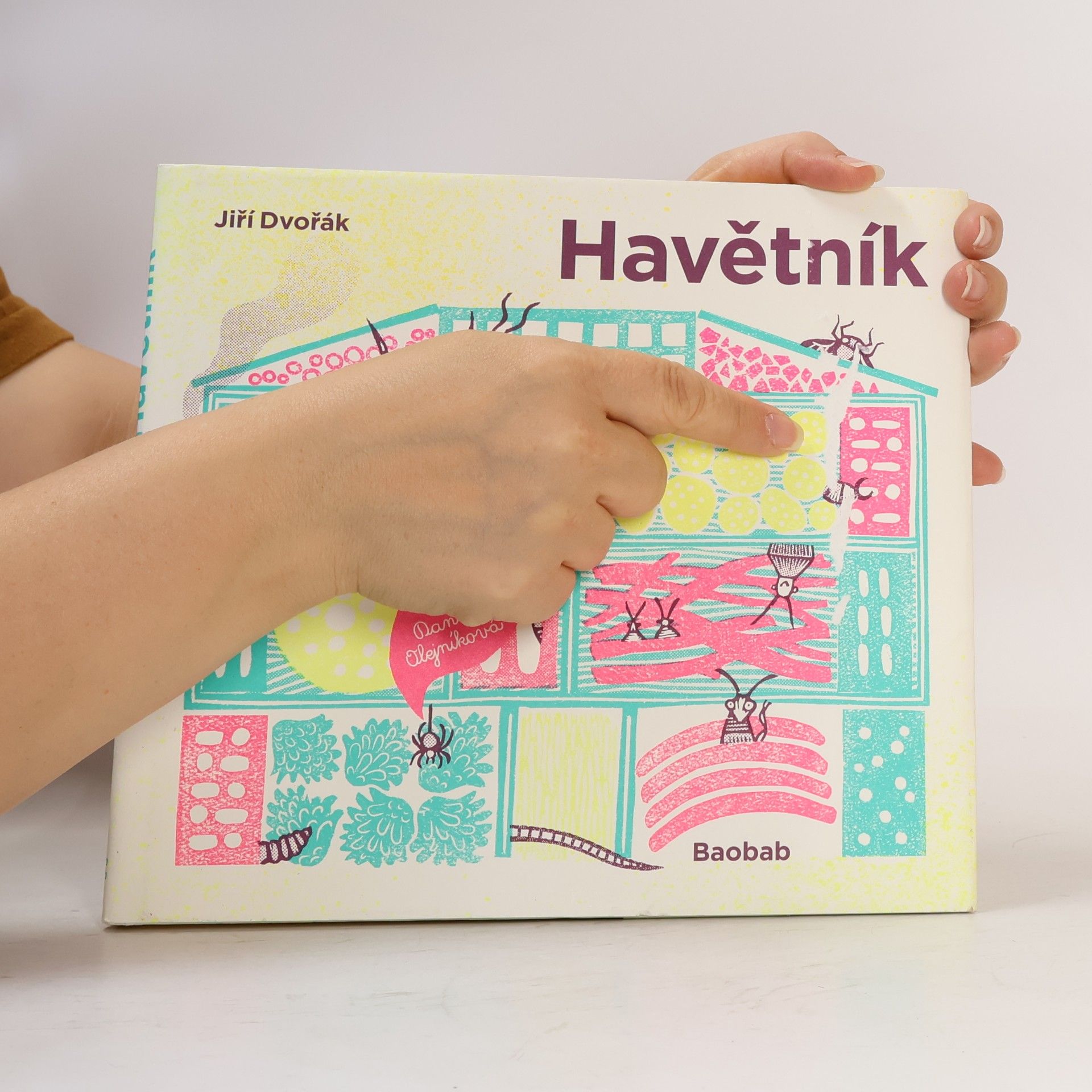 Jiří Dvořák Havětník