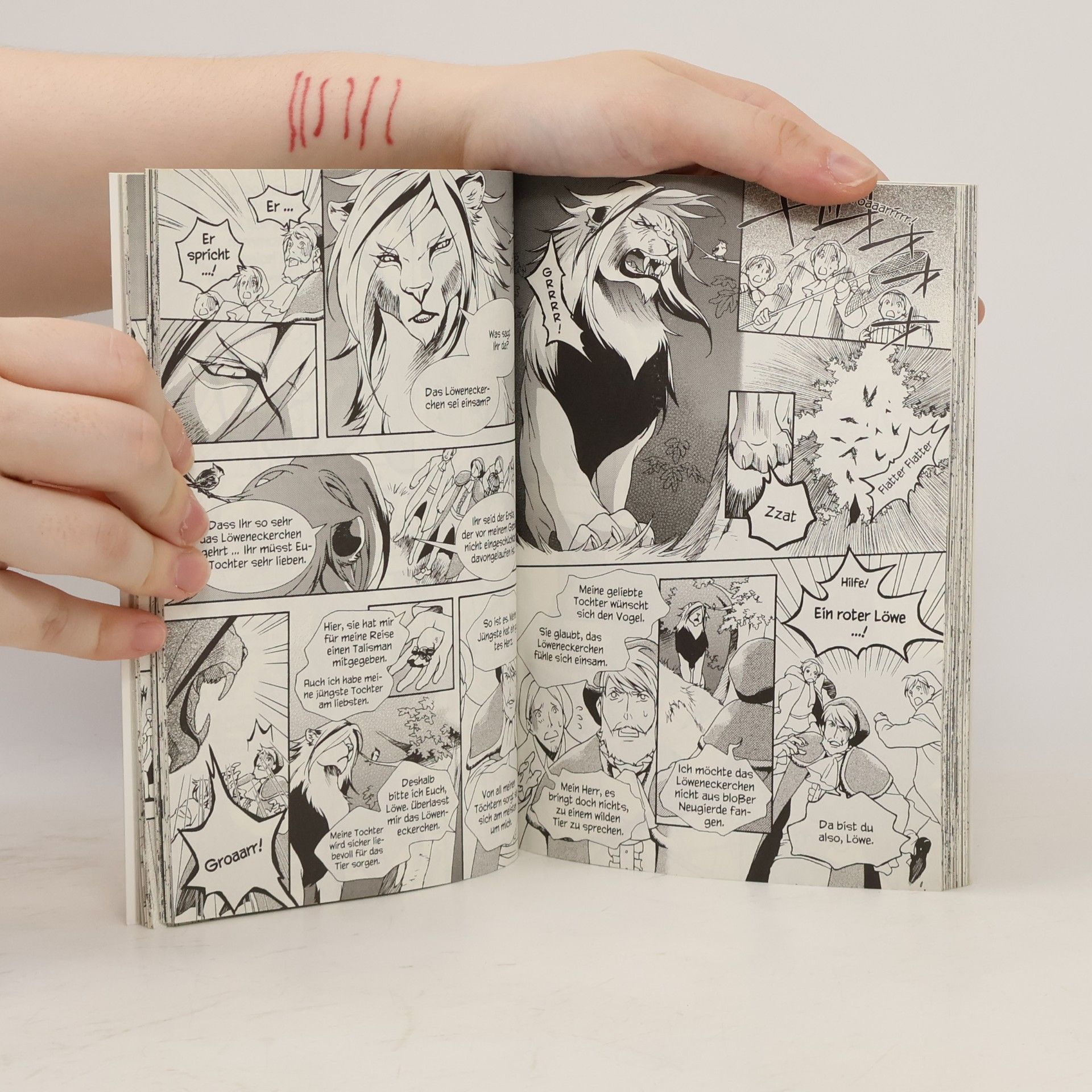 Kei Ishiyama Grimms Manga 2