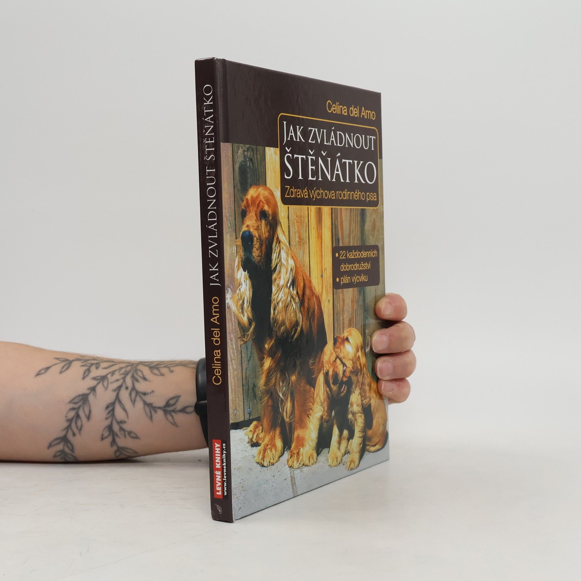 Jak zvládnout štěňátko. Zdravá výchova rodinného psa