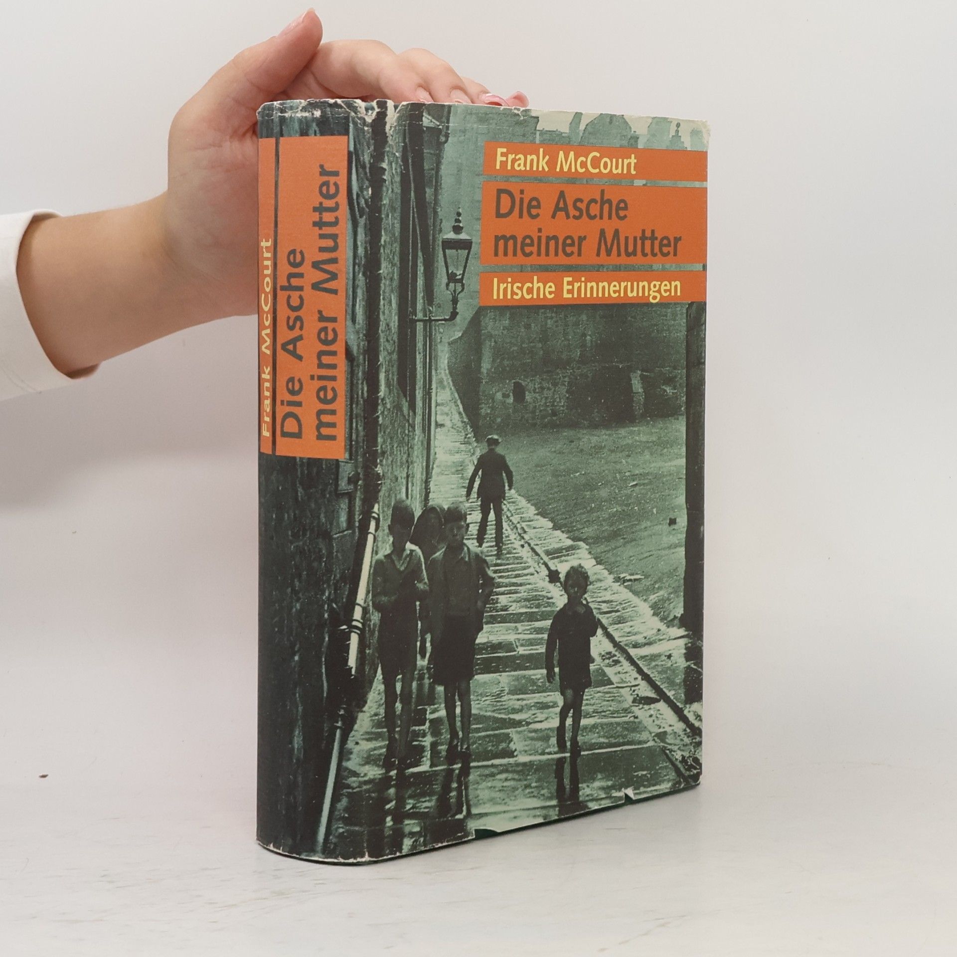 Frank McCourt Die Asche meiner Mutter