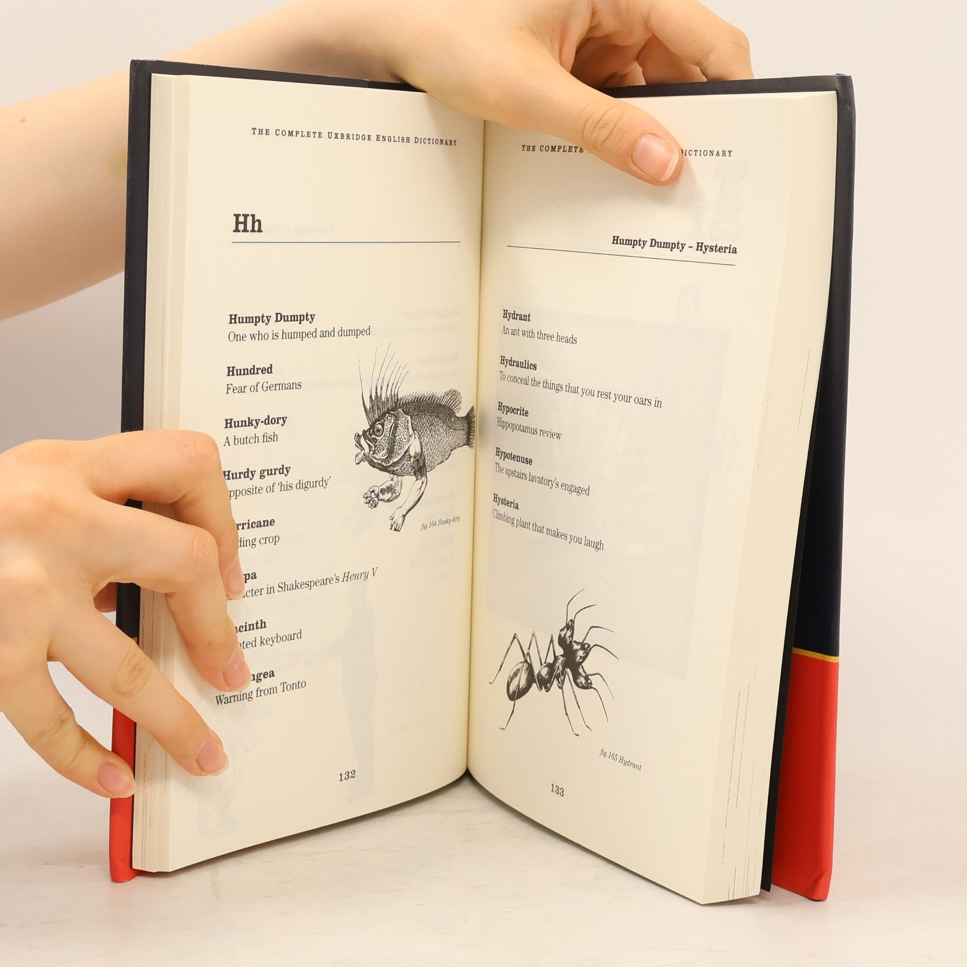 Jon Naismith The Complete Uxbridge English Dictionary