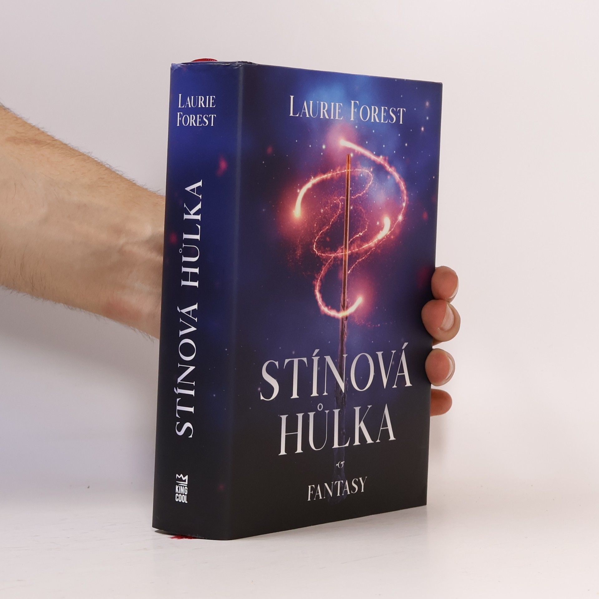 Laurie Forest Stínová hůlka