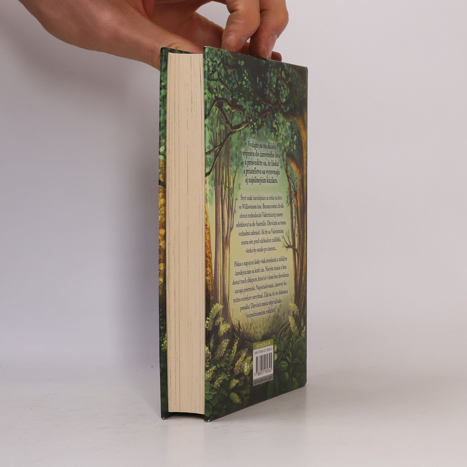 Sabine Bohlmann Dievc̆a menom Willow - Šepot lesa 2