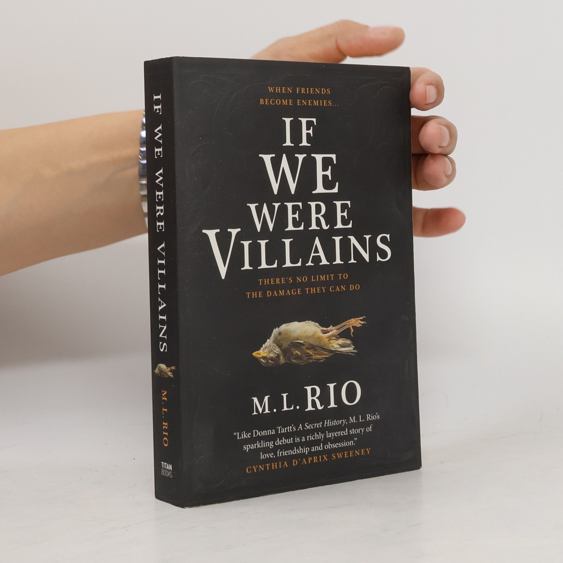 If We Were Villains