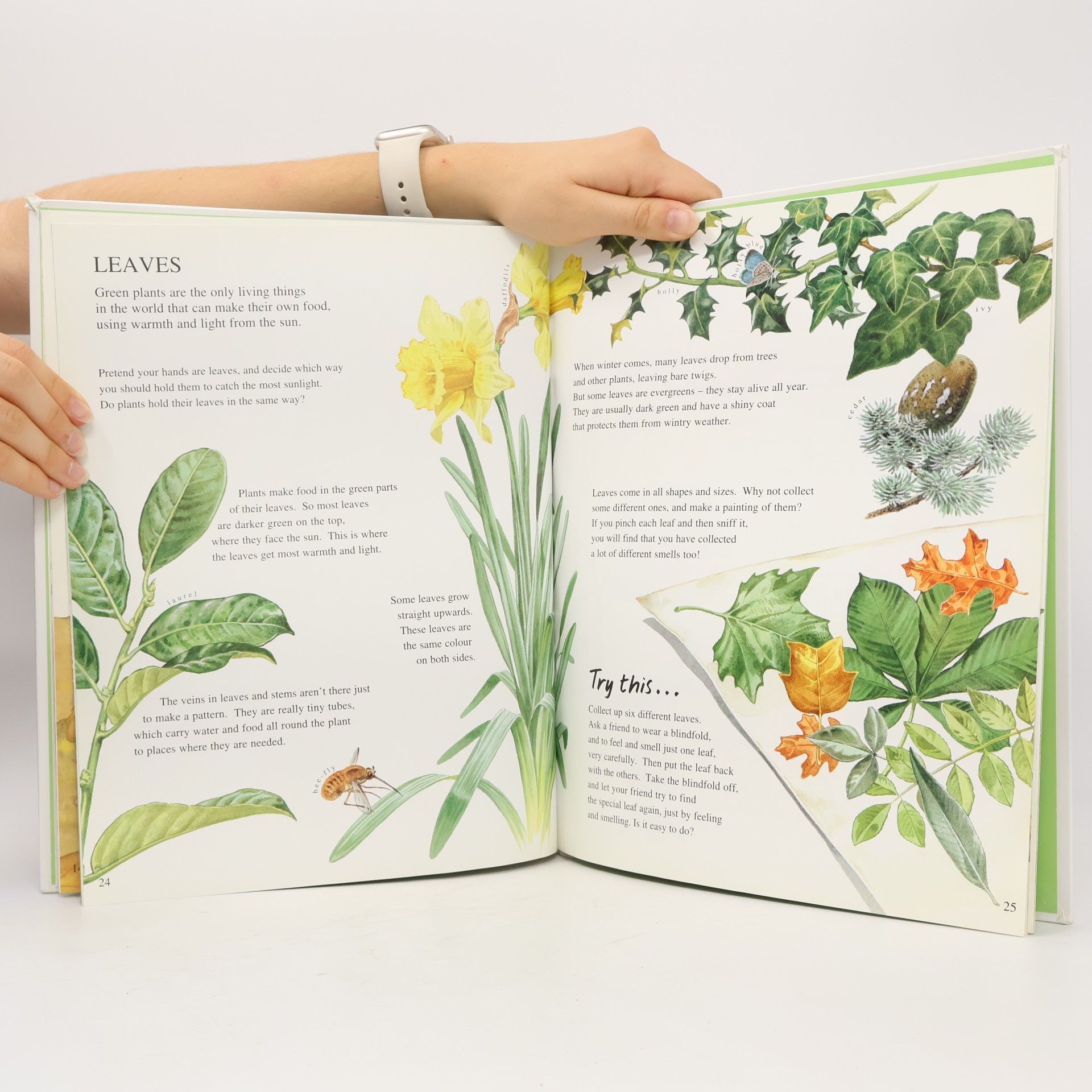 Robin Robbins The BFC Young Book of Nature