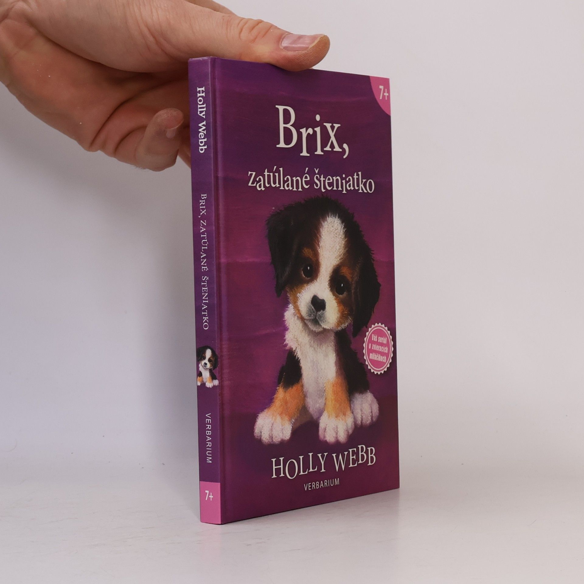 Holly Webb Brix, zatúlané šteniatko
