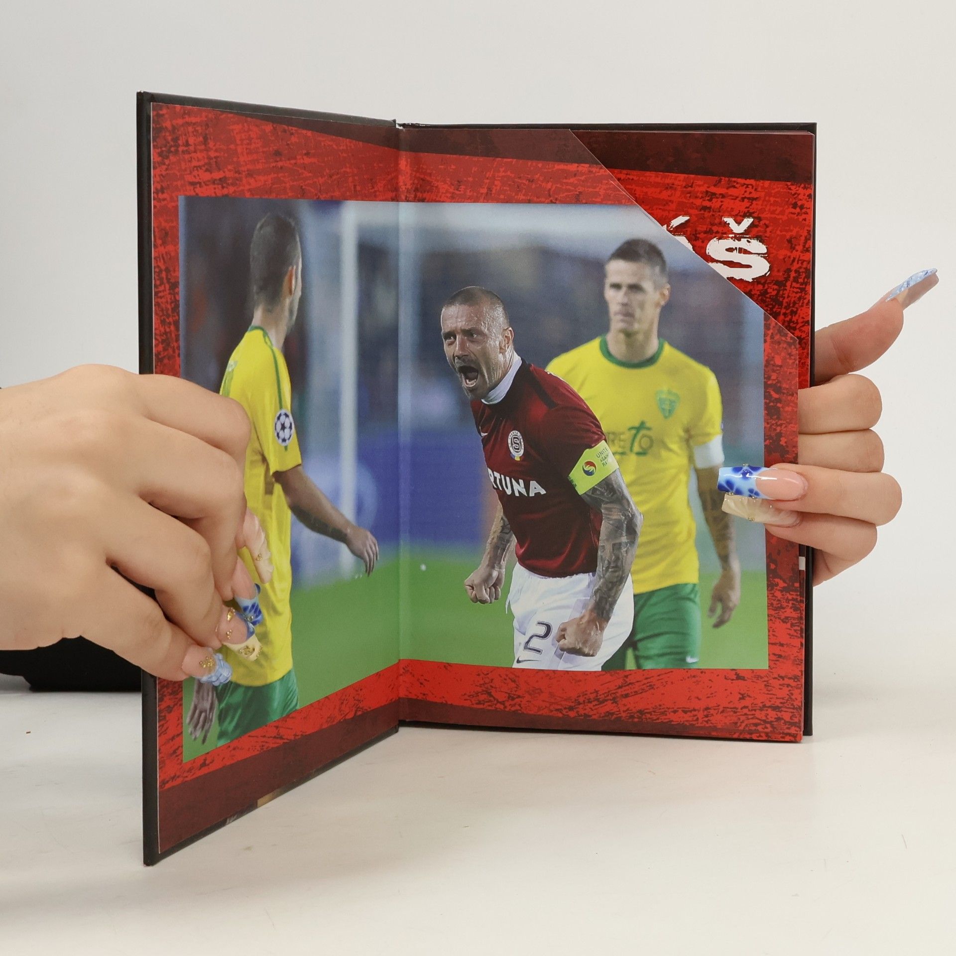 Tomáš Řepka Neuhýbám!