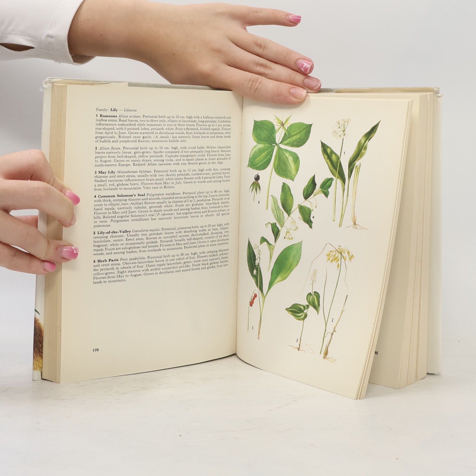 Jan Toman A Field Guide in Colour to Plants and Animals