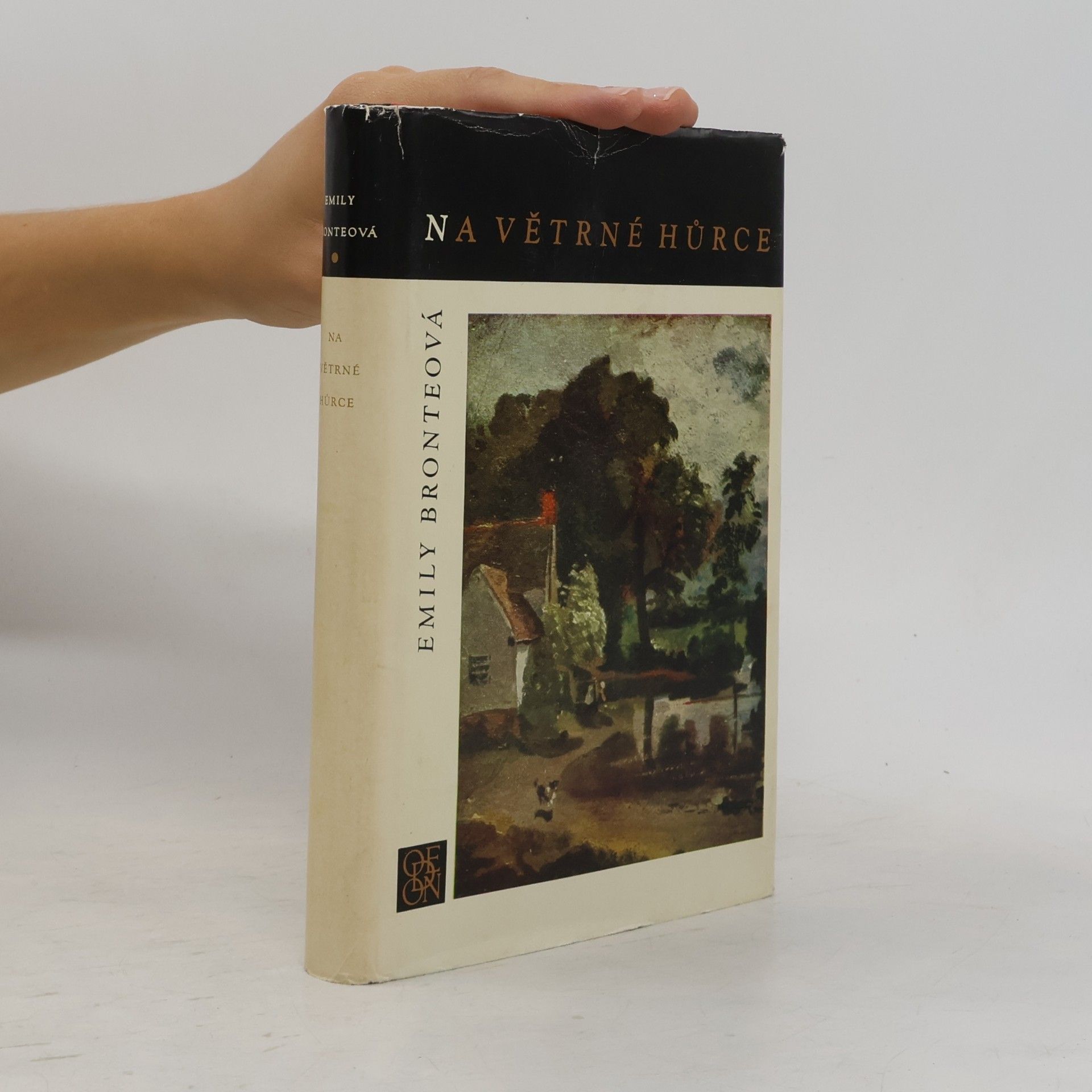 Emily Brontë Na Větrné hůrce