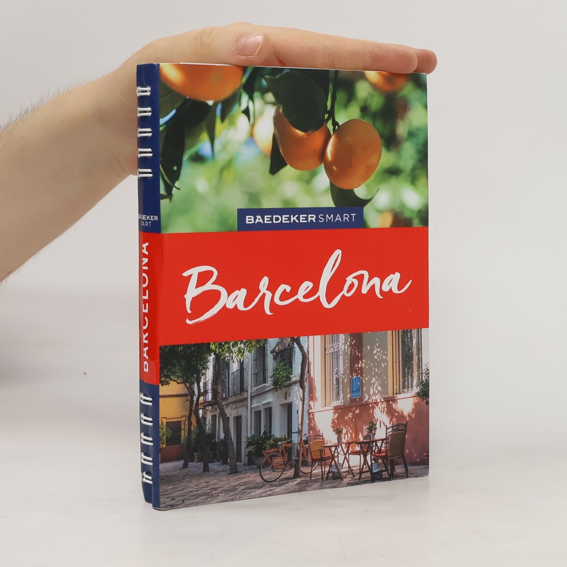Lothar Schmidt Barcelona