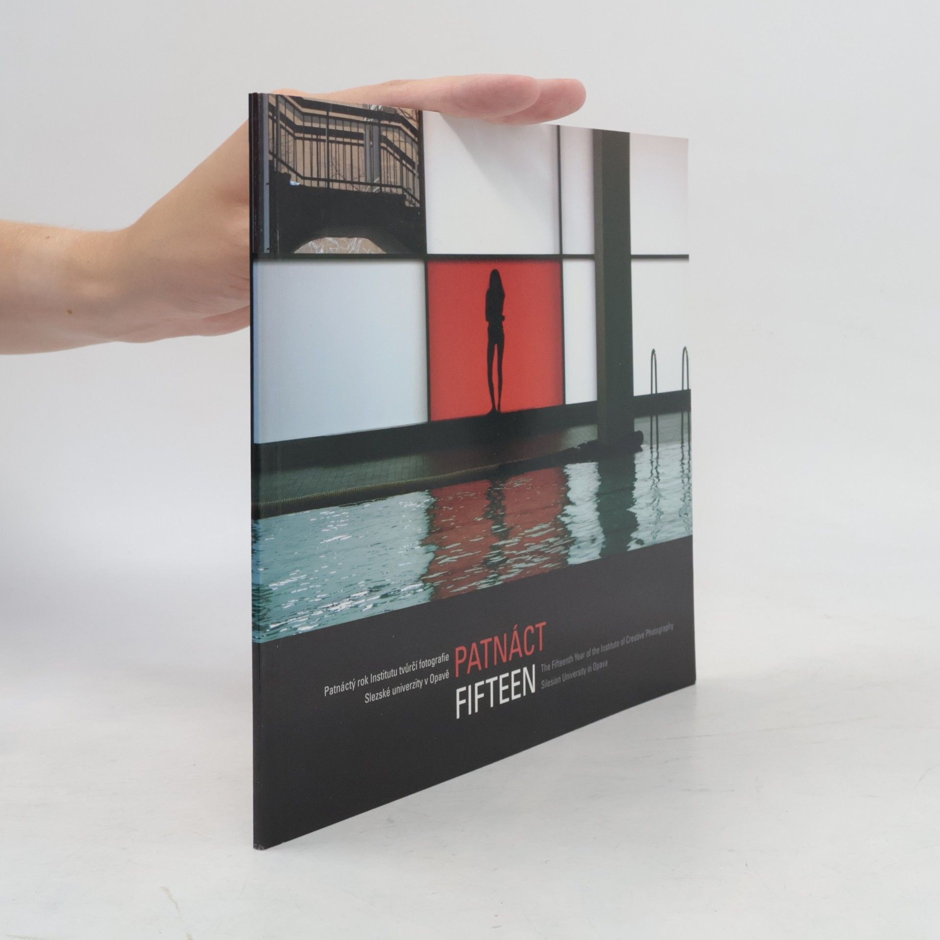 Vladimír Birgus Patnáct : patnáctý rok Institutu tvůrčí fotografie Slezské univerzity v Opavě. Fifteen : the fifteenth year of the Institute of creative photography Silesian university in Opava