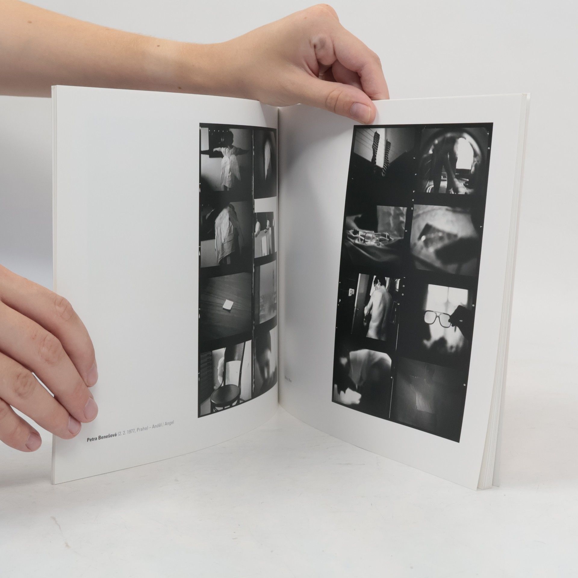 Vladimír Birgus Patnáct : patnáctý rok Institutu tvůrčí fotografie Slezské univerzity v Opavě. Fifteen : the fifteenth year of the Institute of creative photography Silesian university in Opava