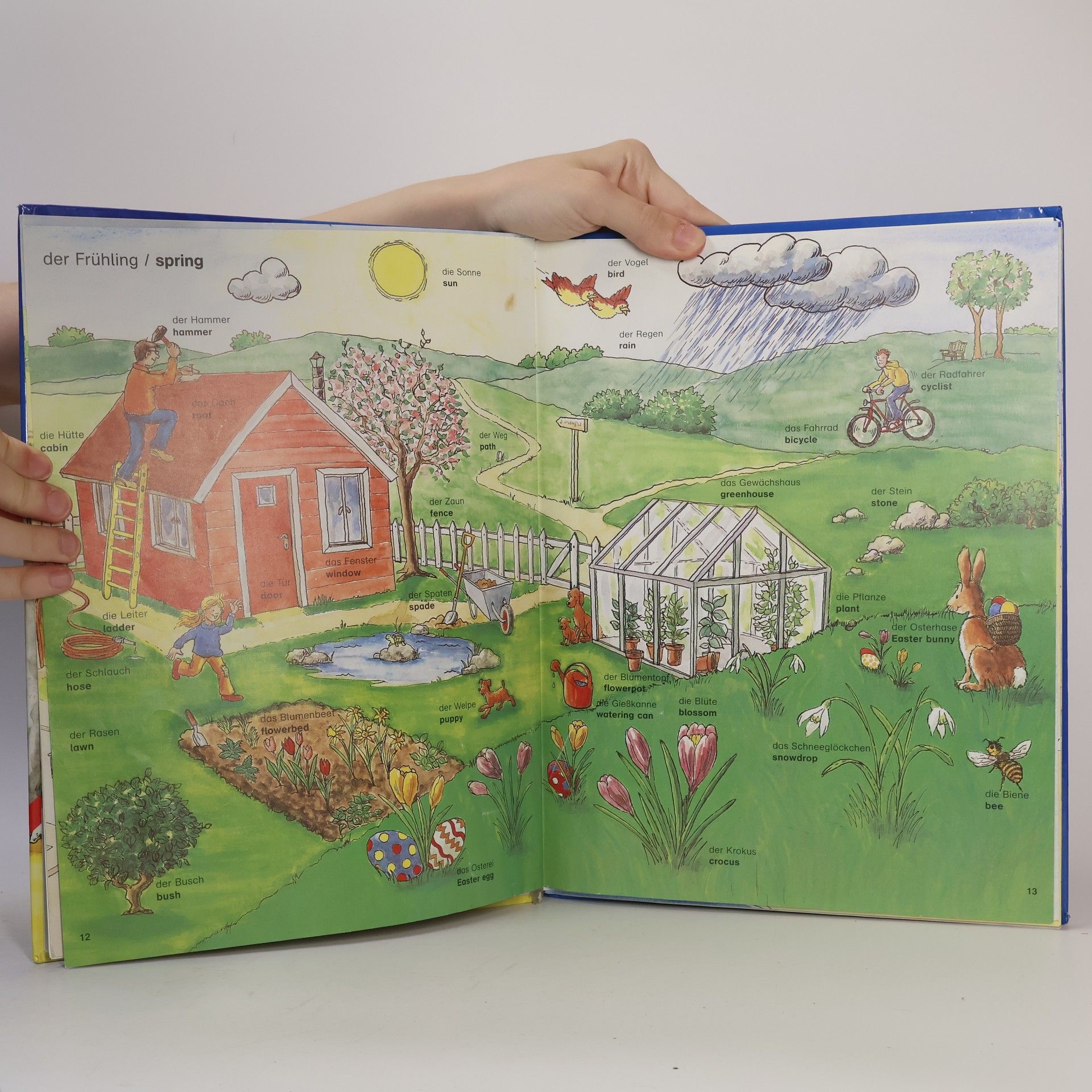 Ulrike Pohlmann Bildwörterbuch Deutsch-Englisch