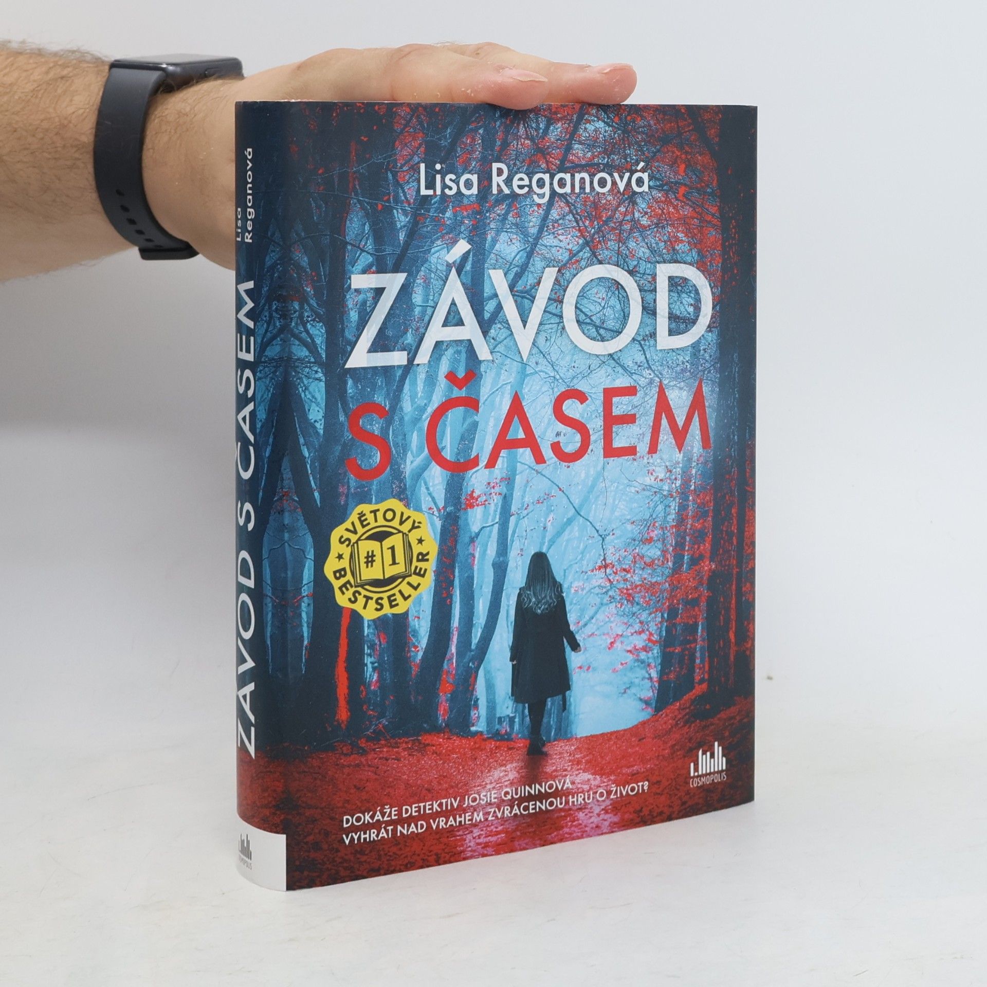 Lisa Regan Závod s časem