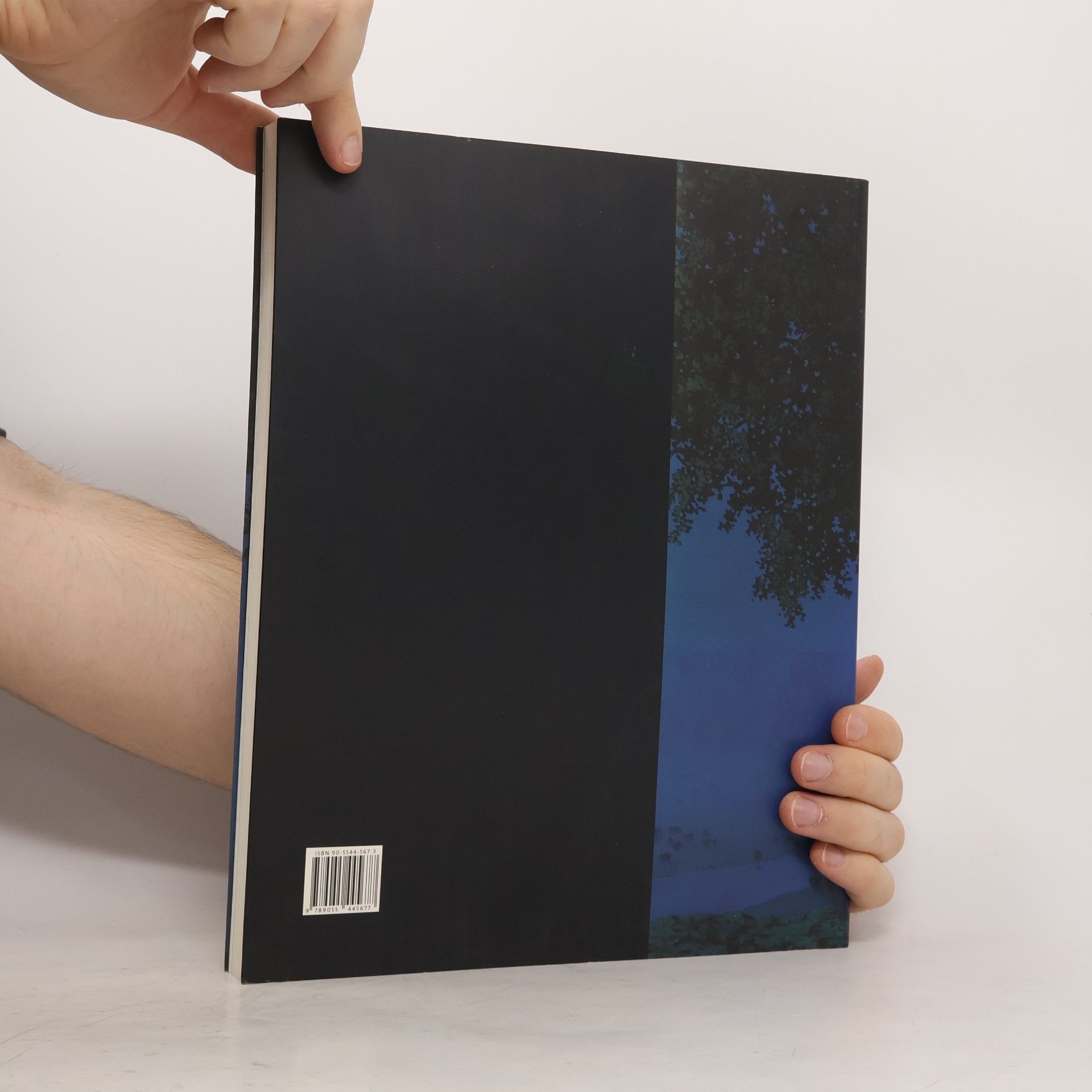 Autorenkollektiv René Magritte. Der Schlüssel der Träume