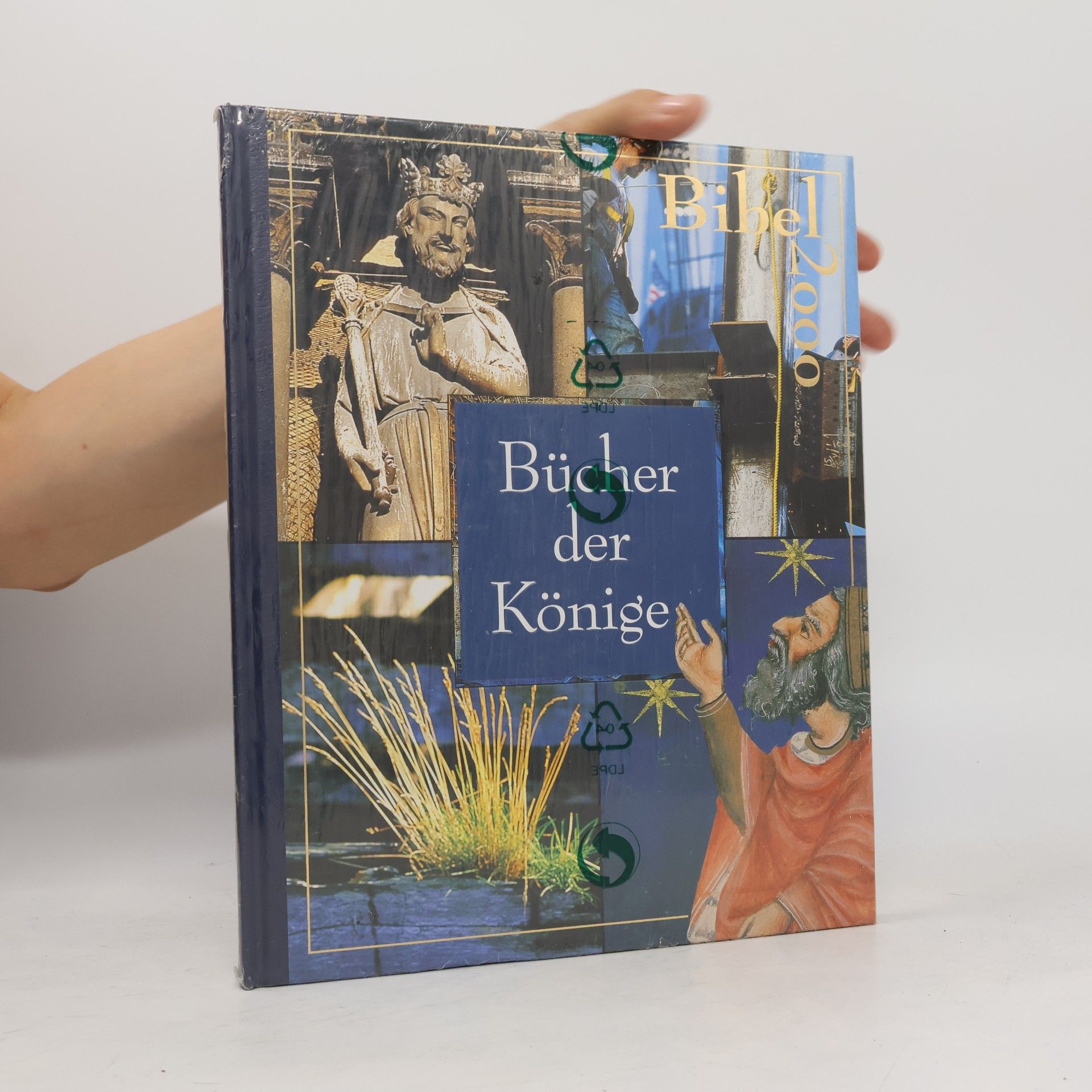 Autorenkollektiv Bibel 2000. Bücher der Könige