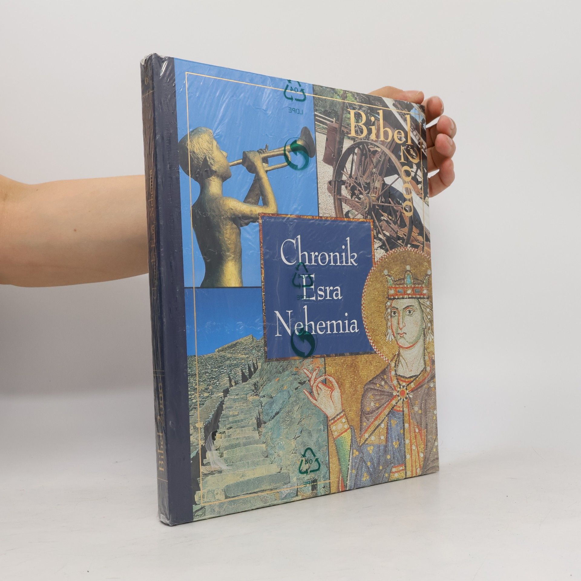 Autorenkollektiv Bibel 2000. Chronik Esra Nehemia