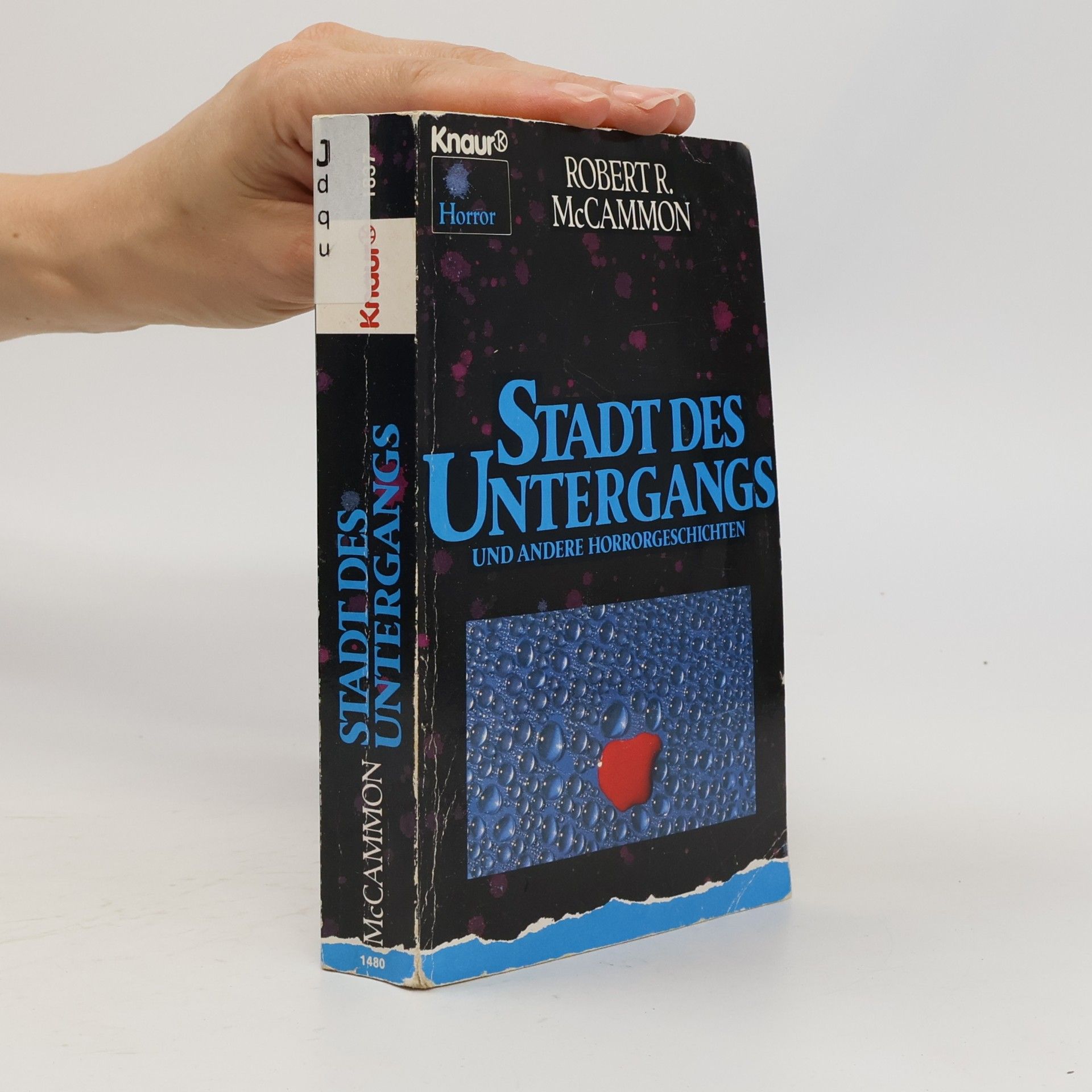 Stadt des Untergangs und andere Horrorgeschichten. Horror