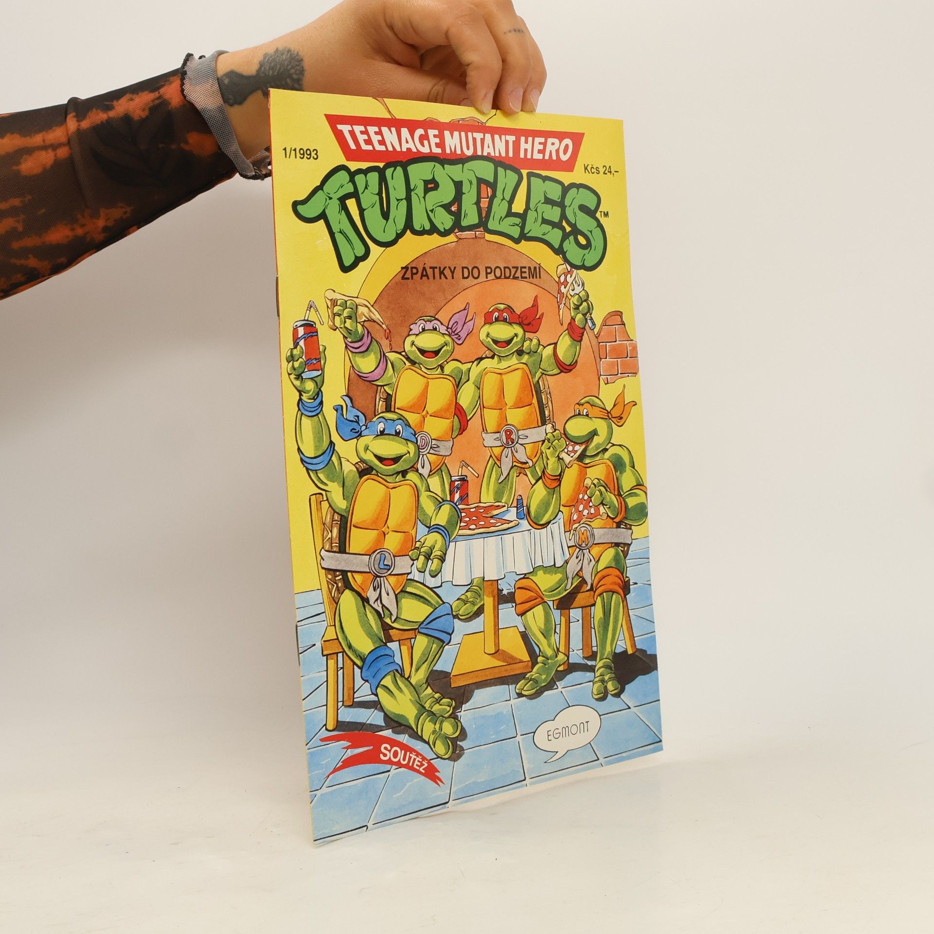 Dean Clarrain Teenage Mutant Hero Turtles #13