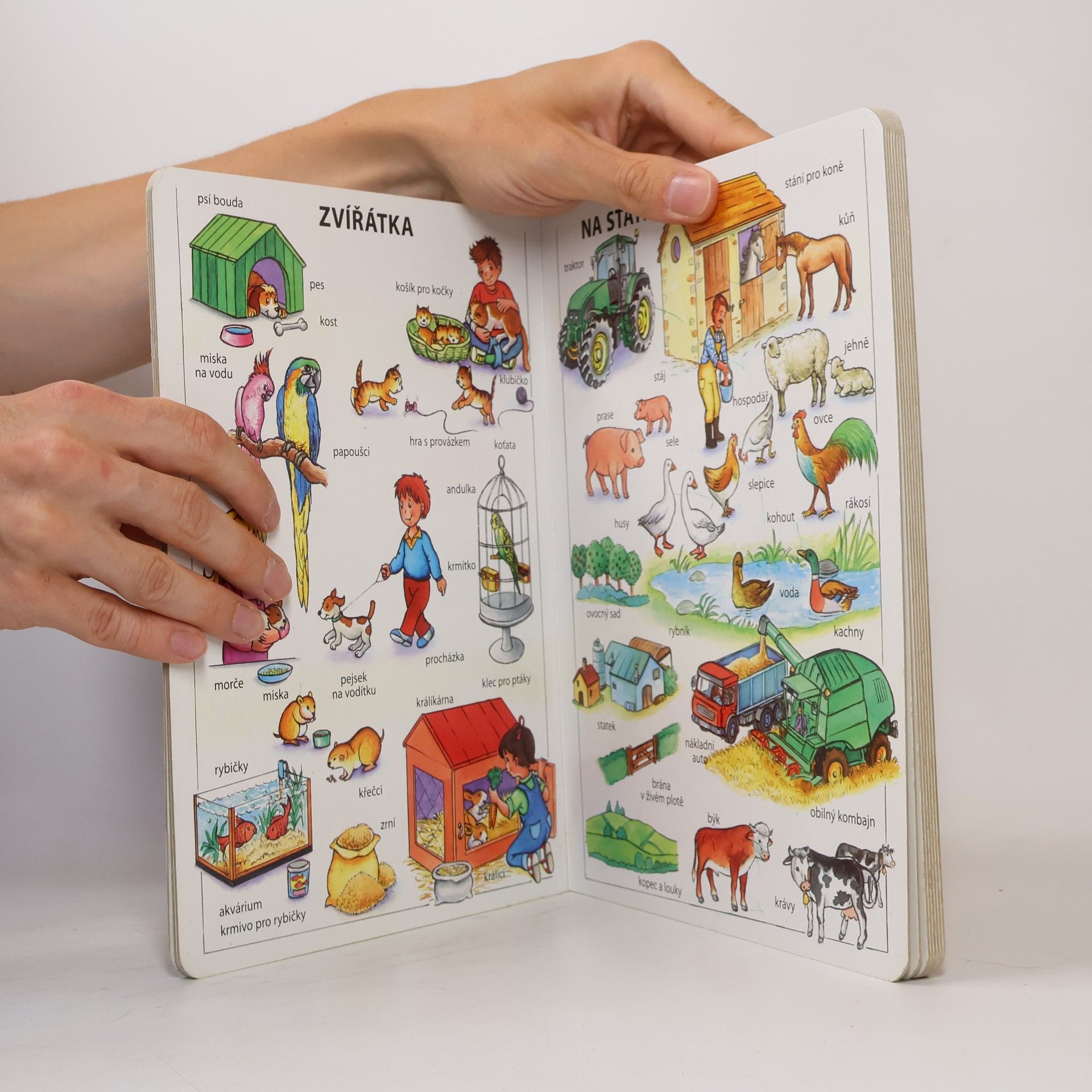 Autores varios Moje první knížka : Svět kolem nás