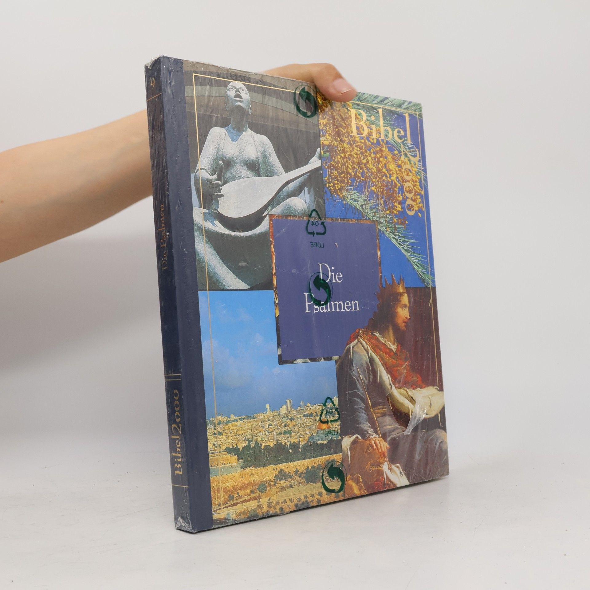 Kolektiv autorů Bibel 2000. Band 9. Die Psalmen