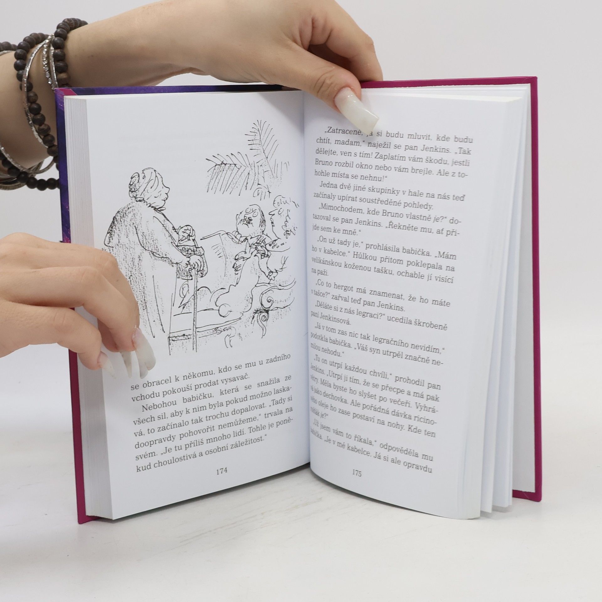 Roald Dahl Čarodějnice