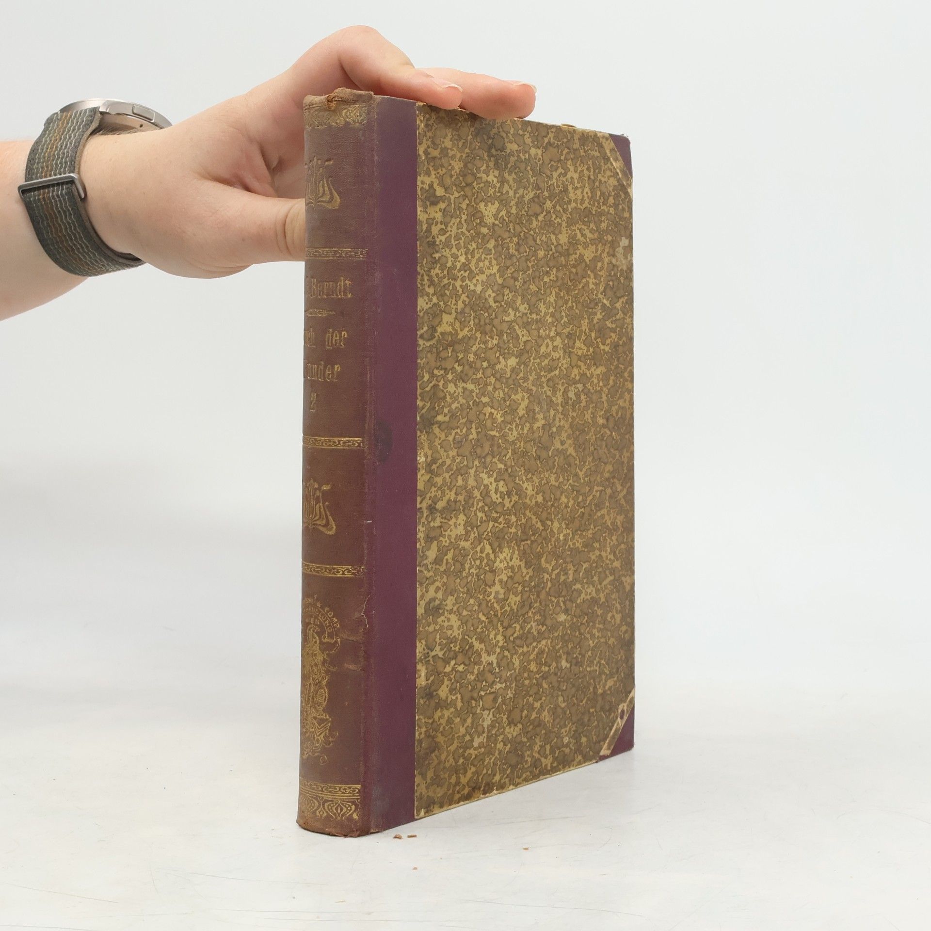 Gustav Hermann Berndt Das Buch der Wunder und der Geheimwissenschaften II