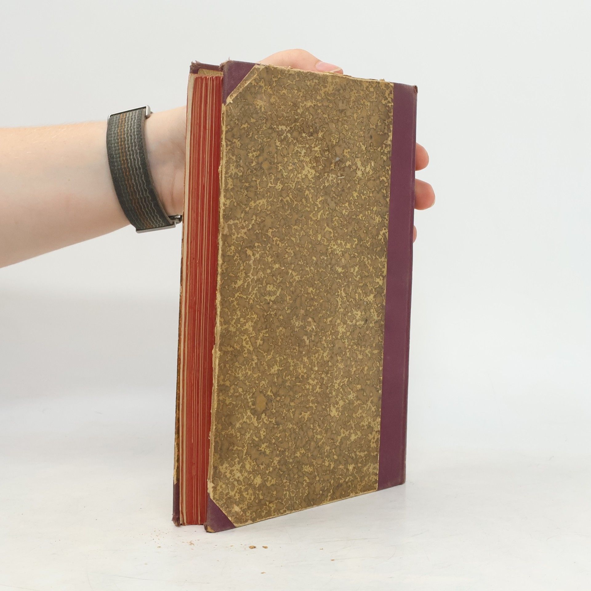 Gustav Hermann Berndt Das Buch der Wunder und der Geheimwissenschaften II