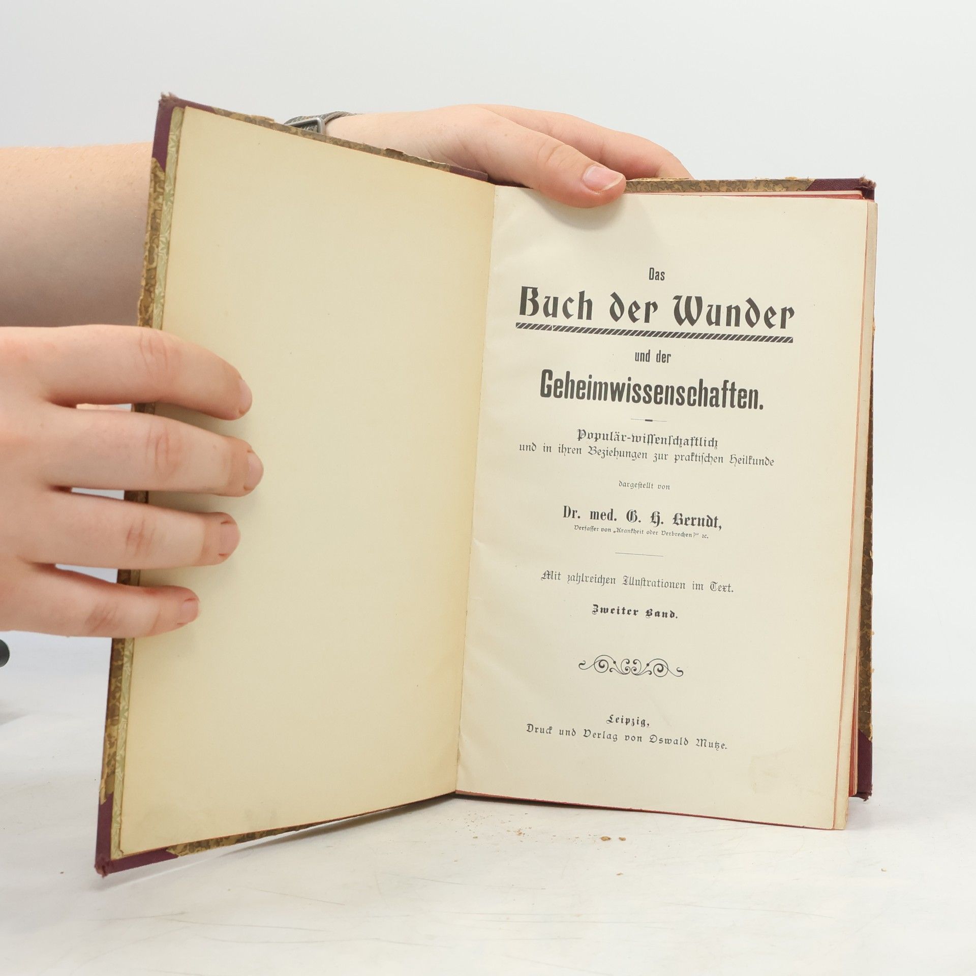 Gustav Hermann Berndt Das Buch der Wunder und der Geheimwissenschaften II