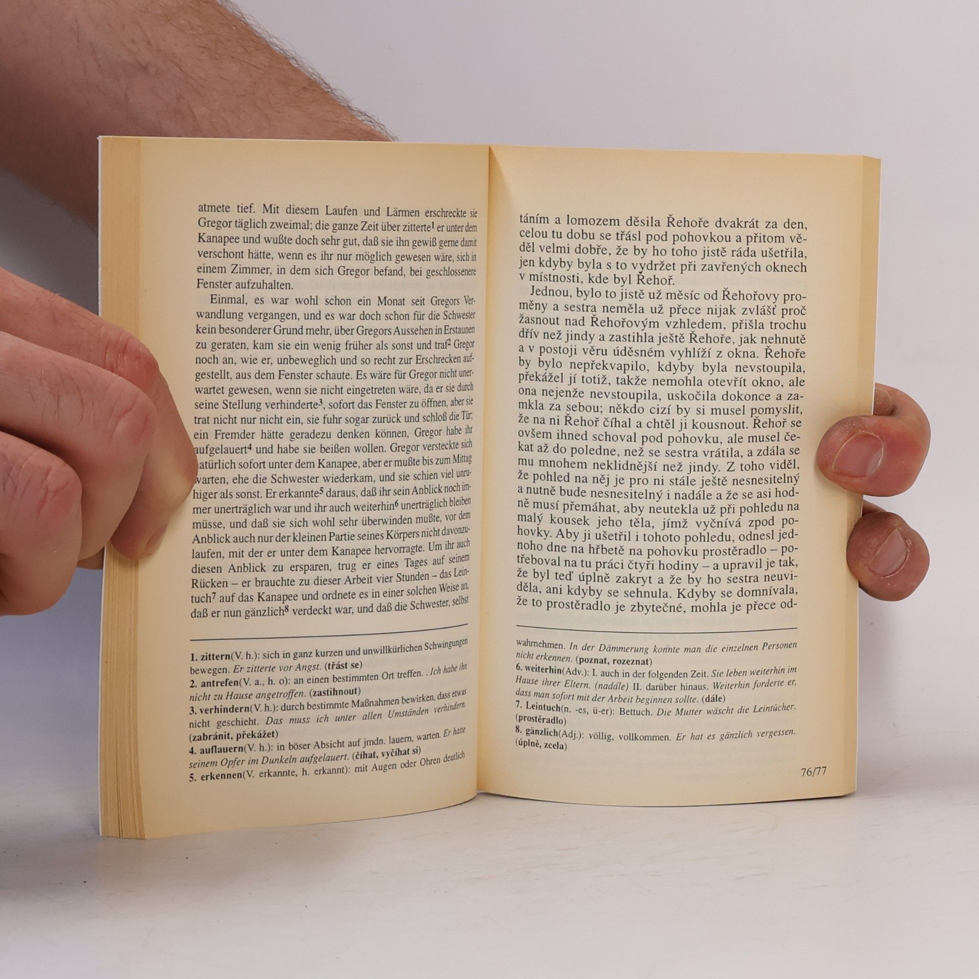 Franz Kafka Die Verwandlung = Proměna