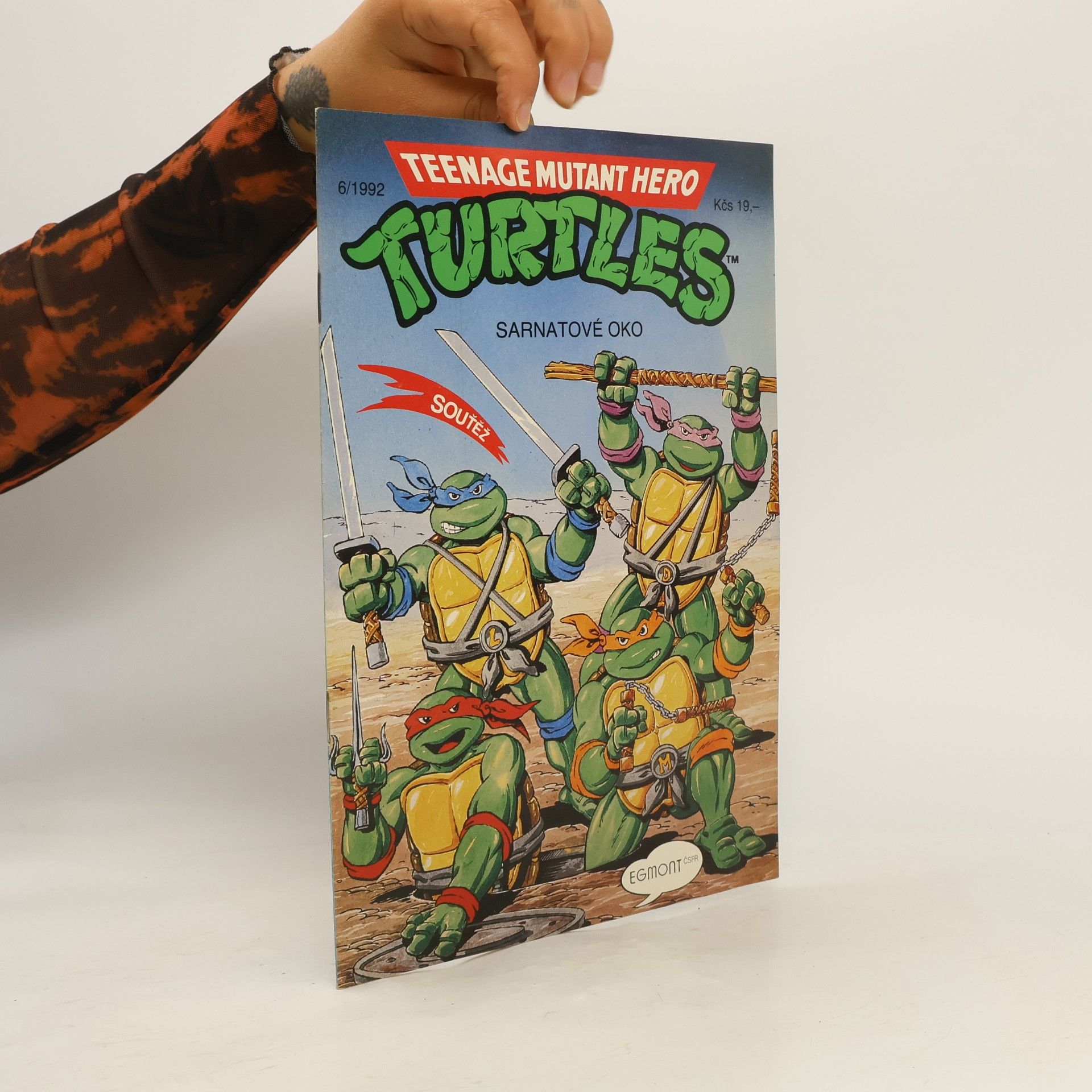 Beth Mitchroney Teenage Mutant Hero Turtles #06