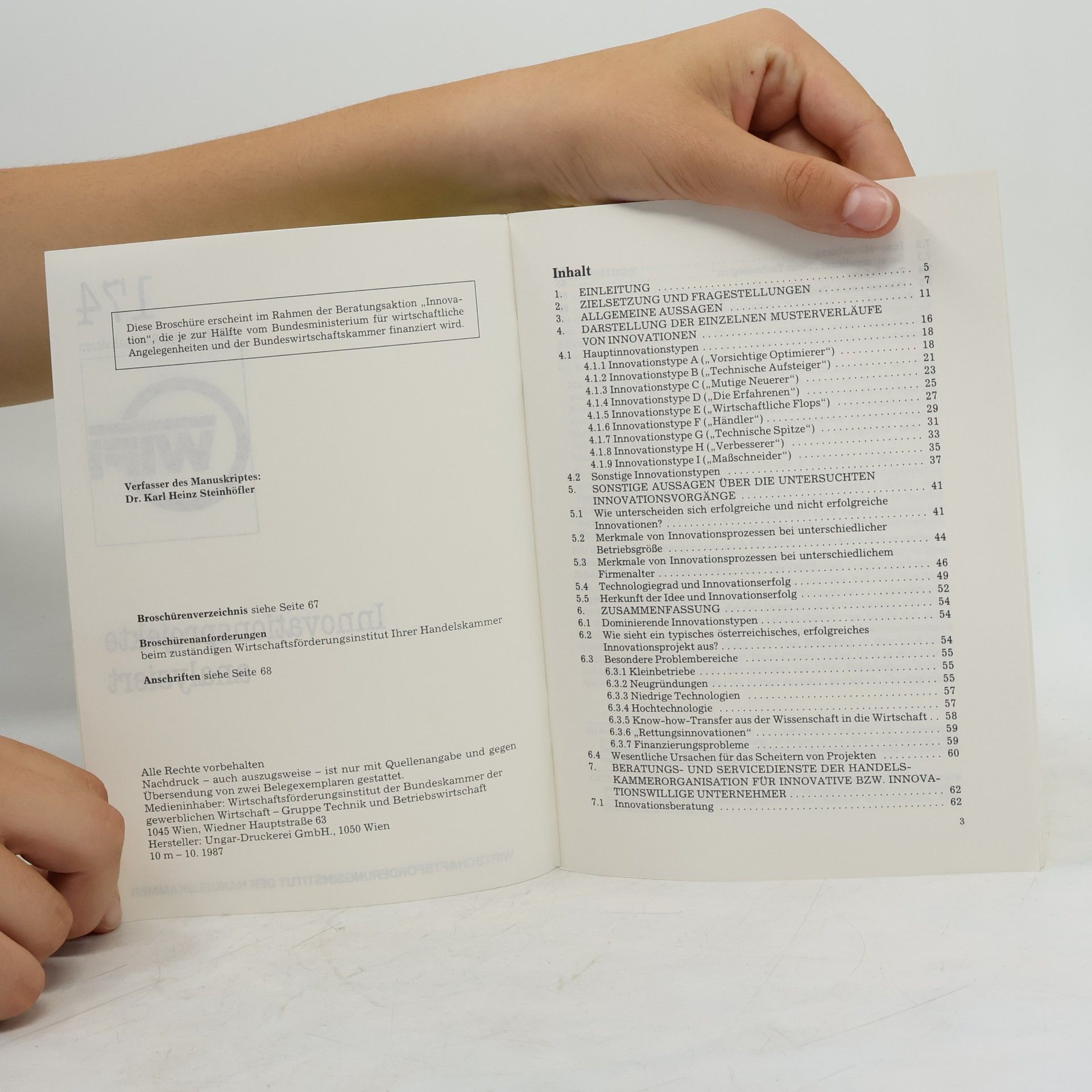 Autorenkollektiv Innovationsprojekte analysiert