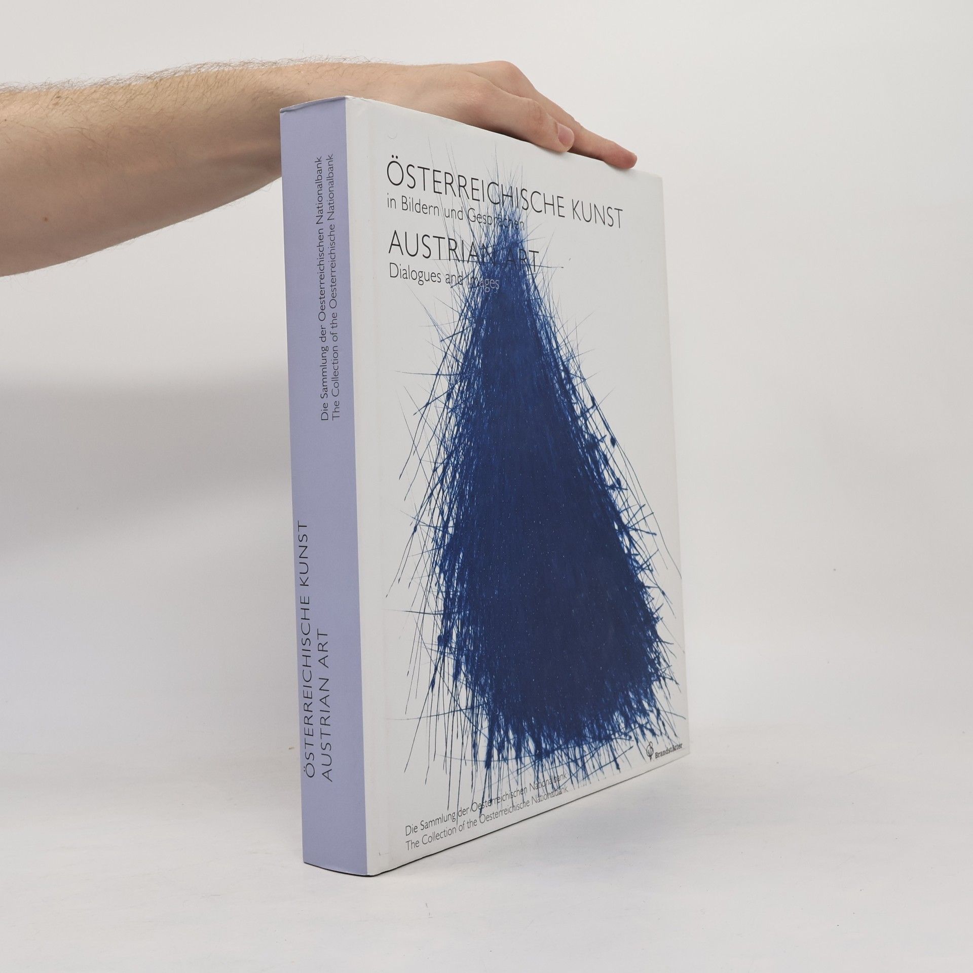 Elisabeth Olivares Díaz Österreichische Kunst in Bildern und Gesprächen