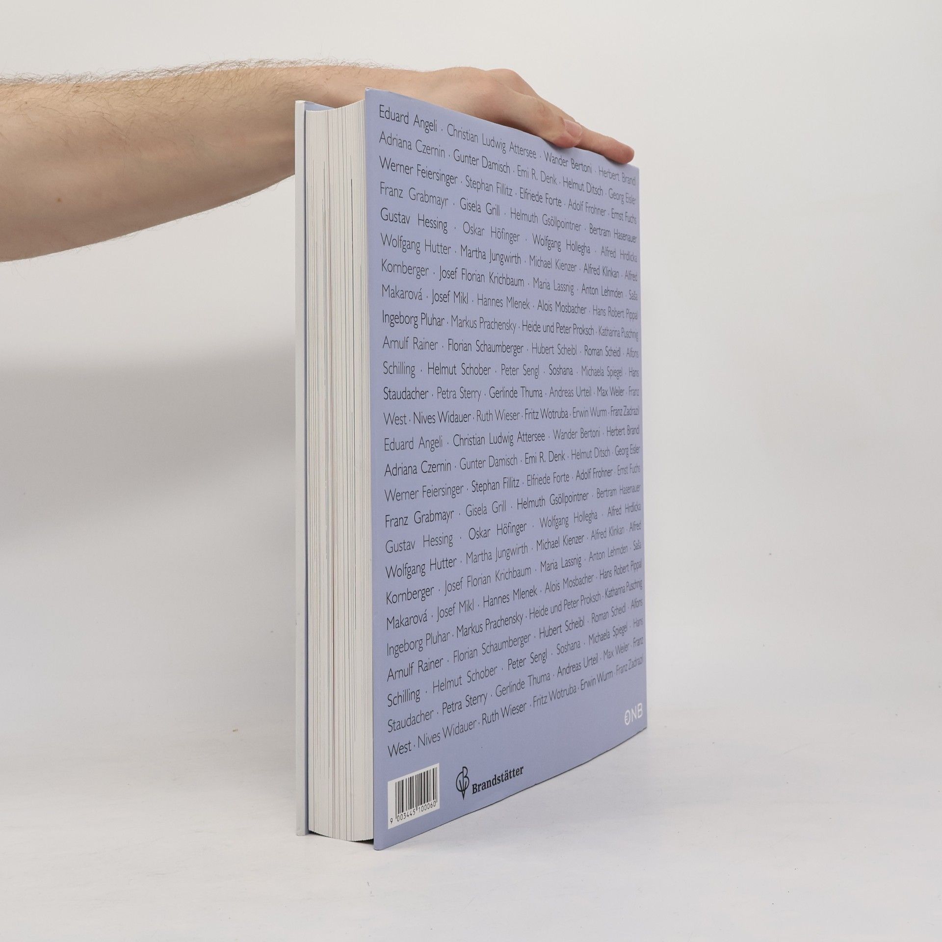 Elisabeth Olivares Díaz Österreichische Kunst in Bildern und Gesprächen
