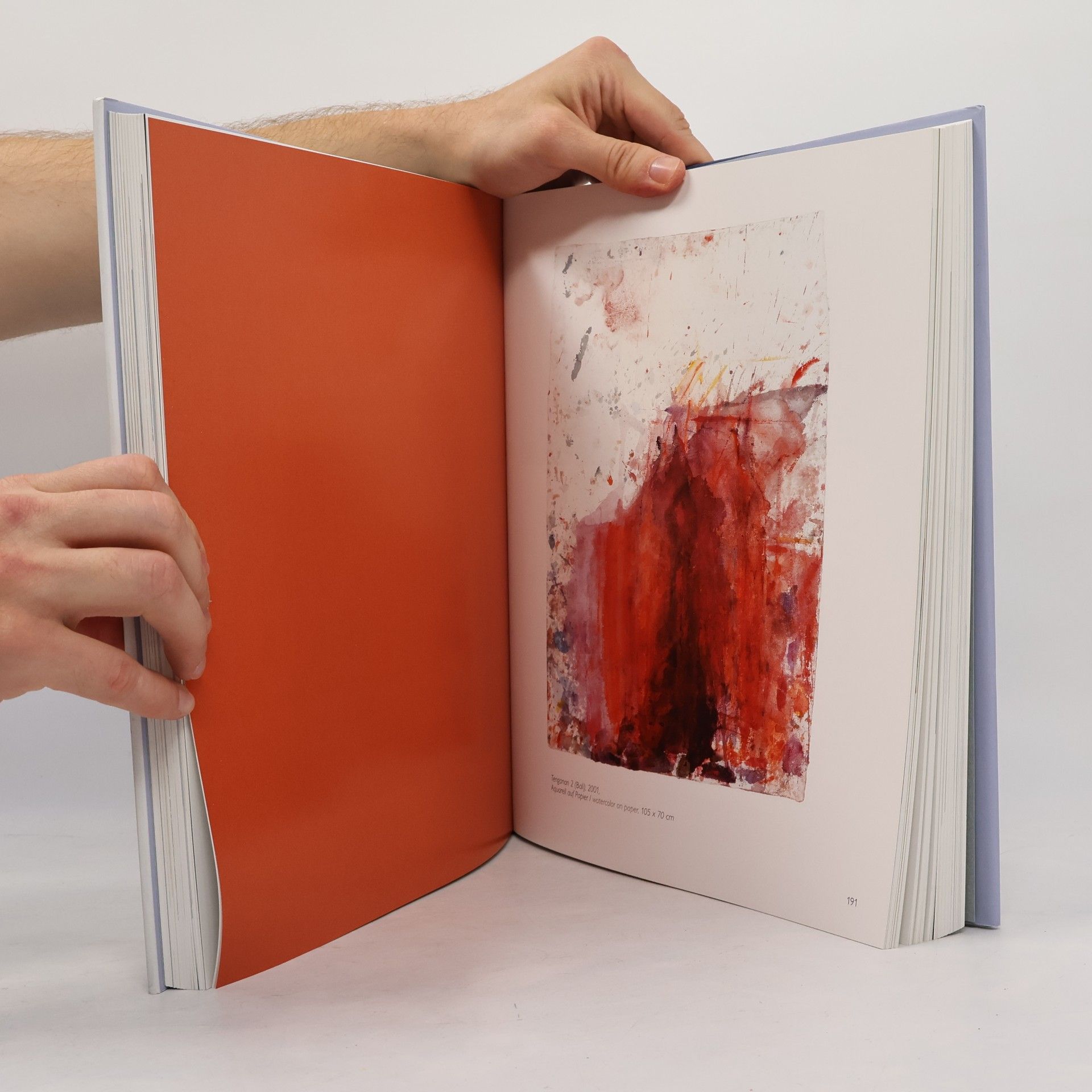 Elisabeth Olivares Díaz Österreichische Kunst in Bildern und Gesprächen