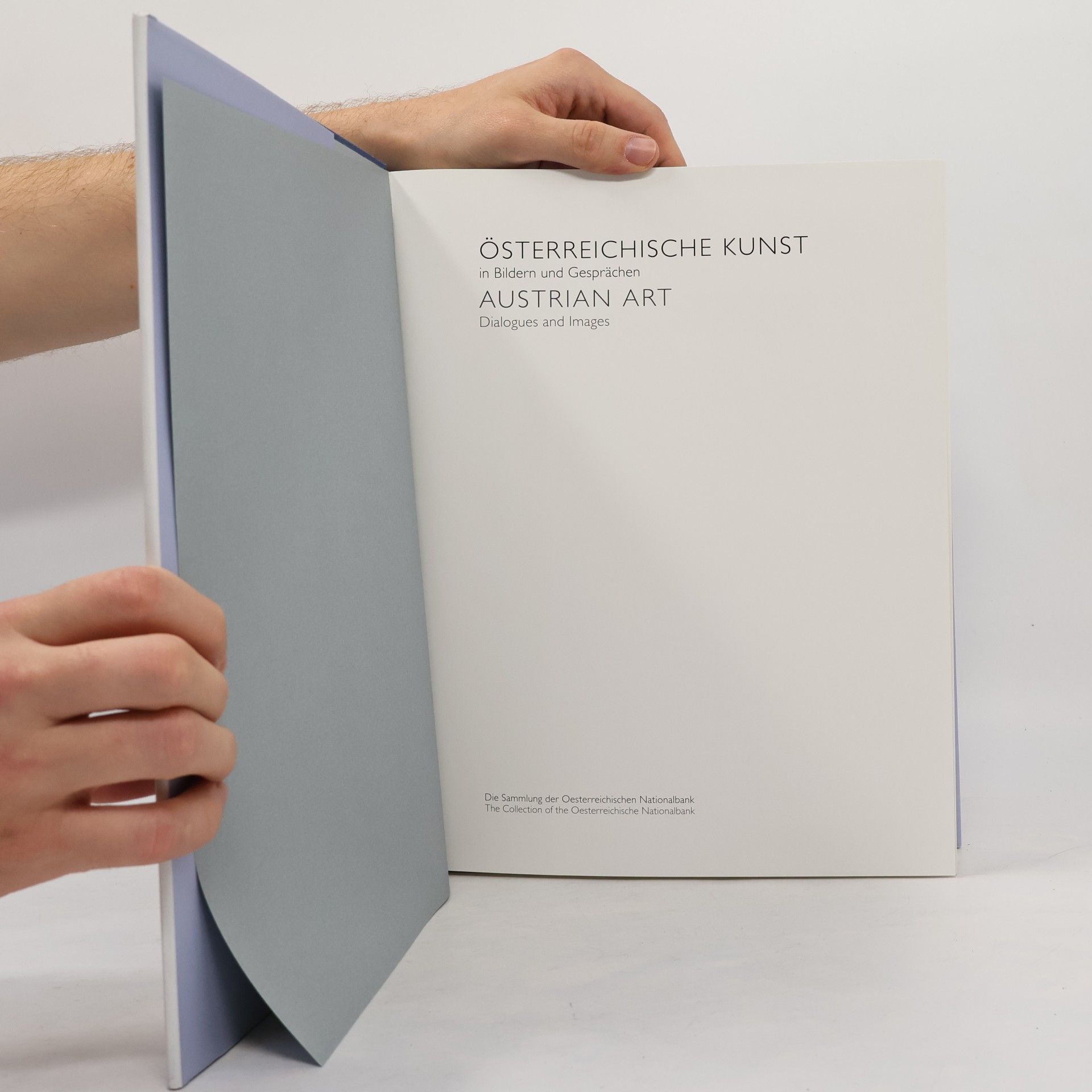 Elisabeth Olivares Díaz Österreichische Kunst in Bildern und Gesprächen
