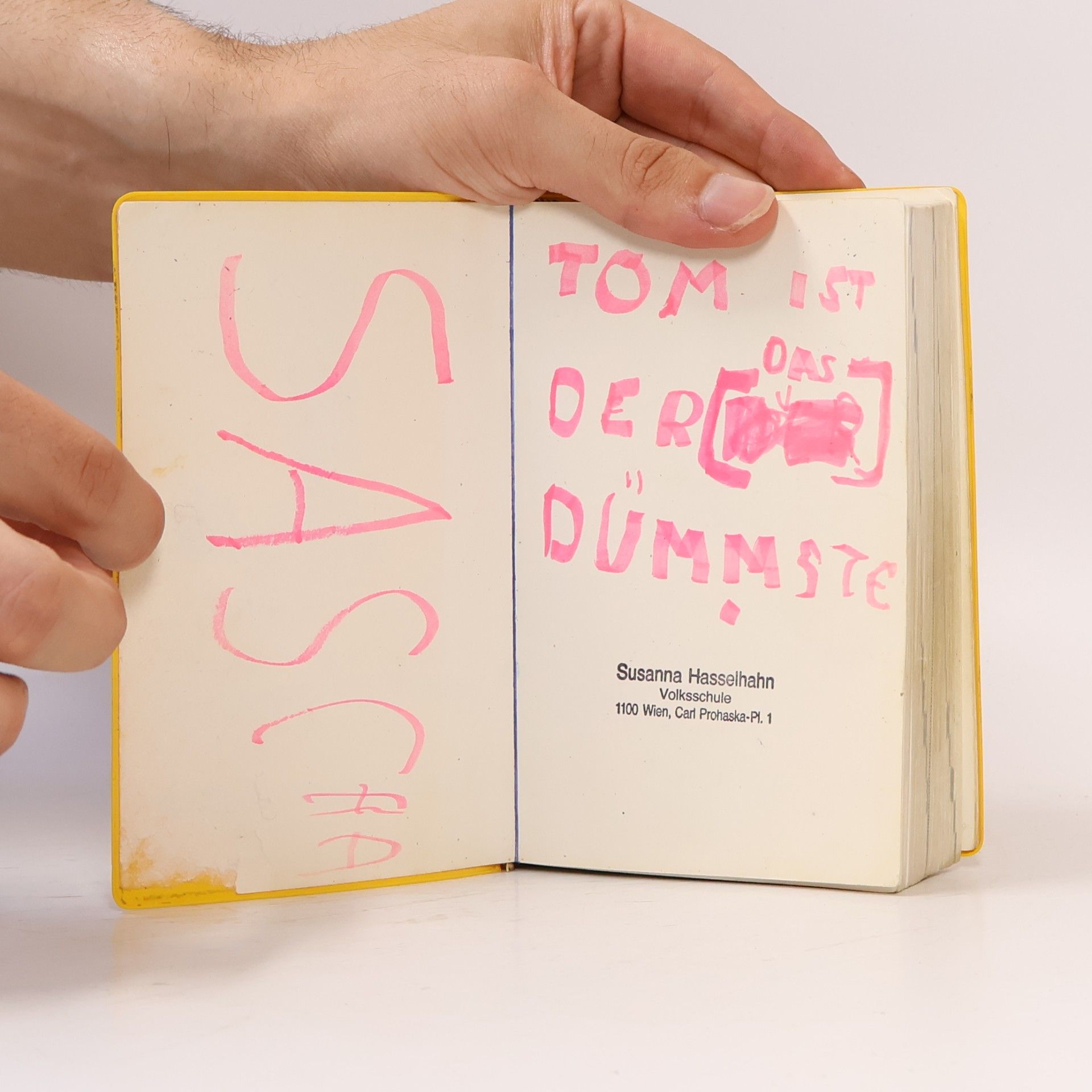 Holger Freese Langenscheidts Schulwörterbuch Englisch