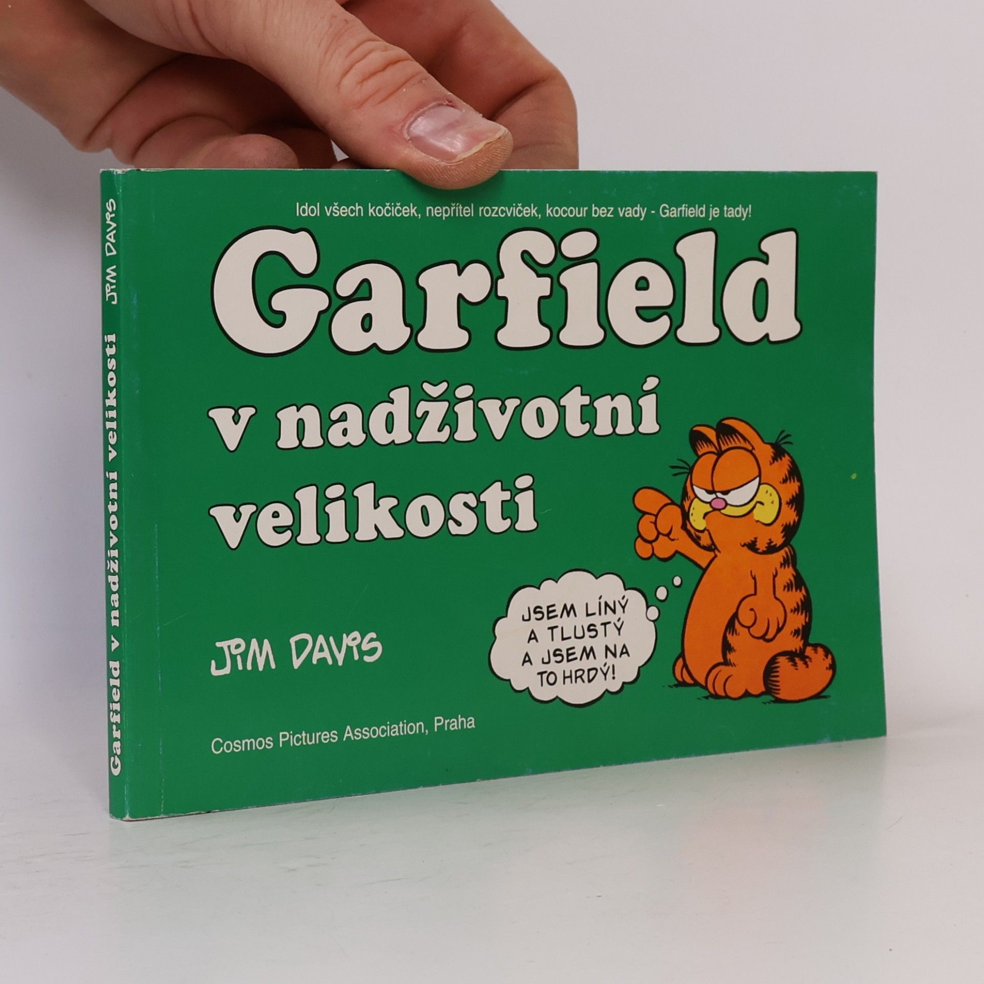 Jim Davis Garfield v nadživotní velikosti
