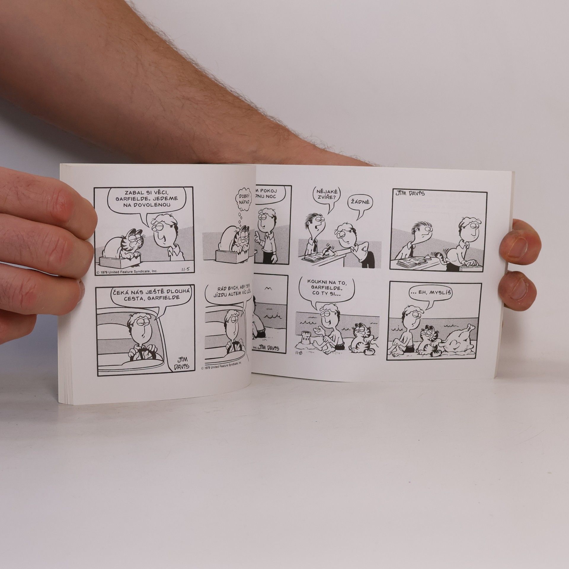 Jim Davis Garfield v nadživotní velikosti