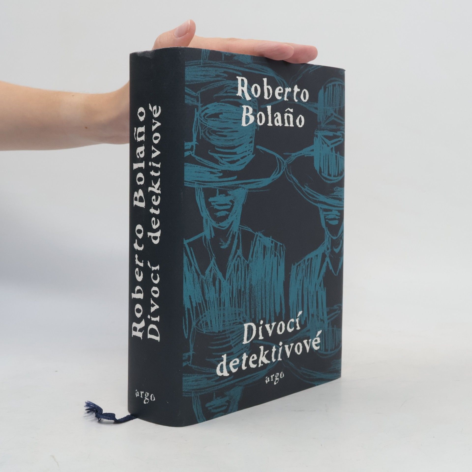 Divocí detektivové