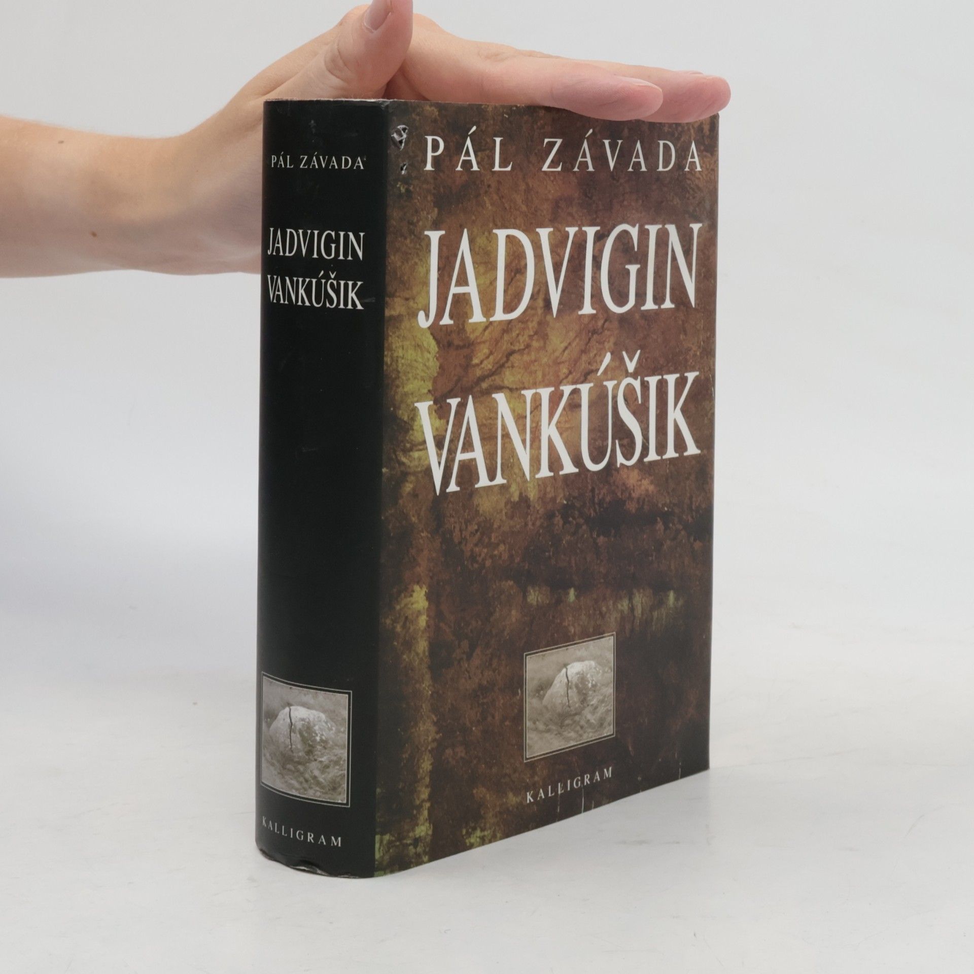 Pál Závada Jadvigin vankúšik