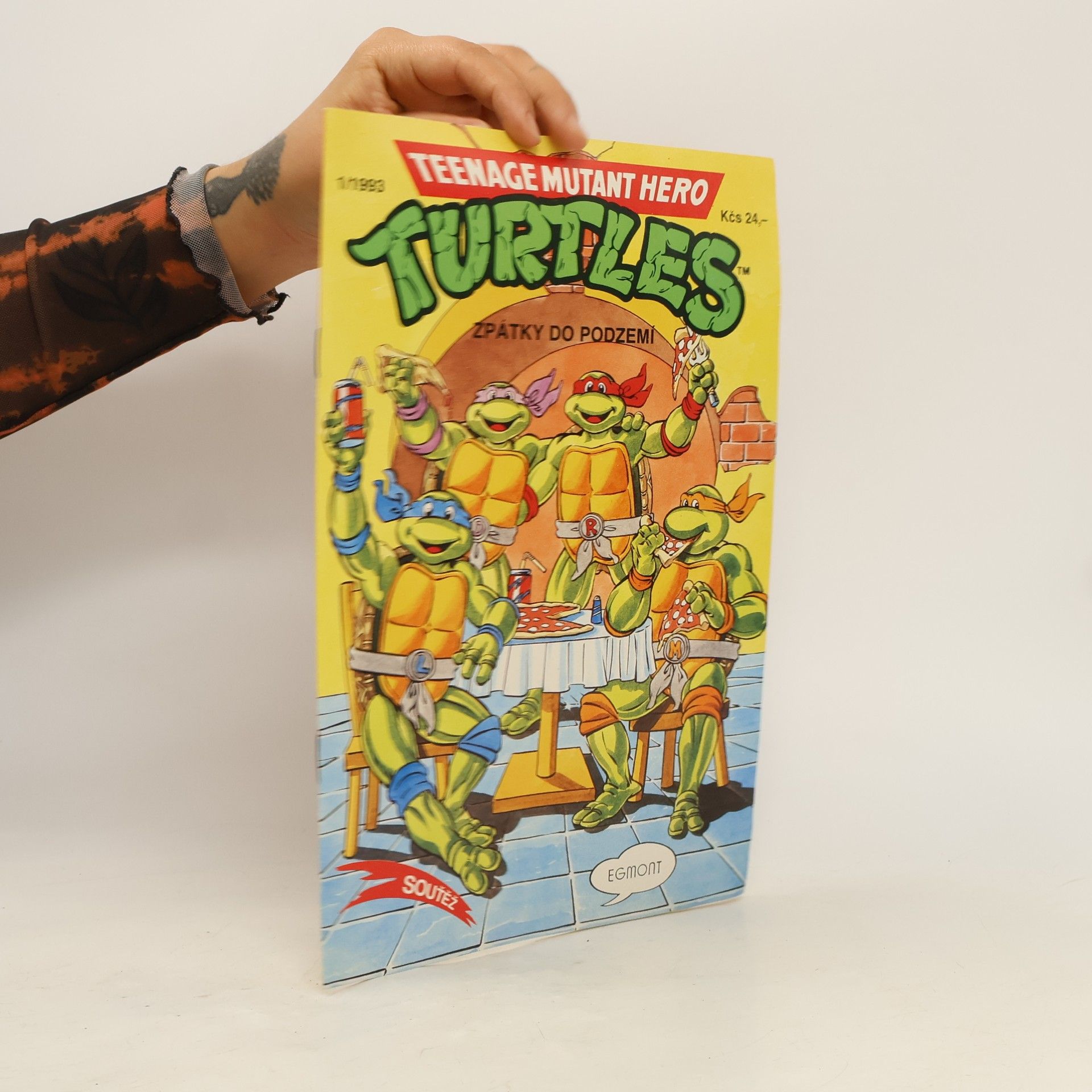 Dean Clarrain Teenage Mutant Hero Turtles #13