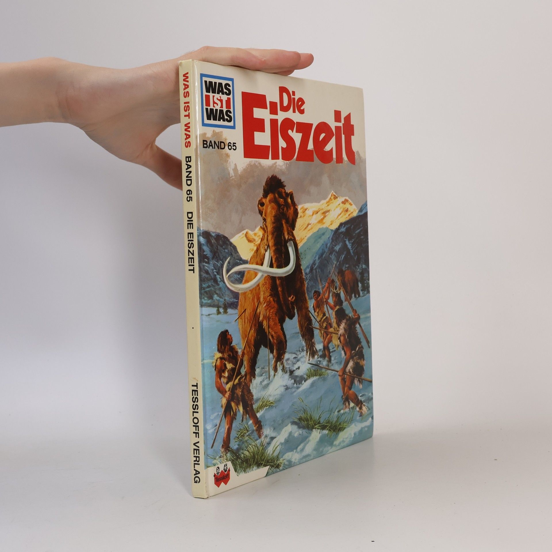 Die Eiszeit