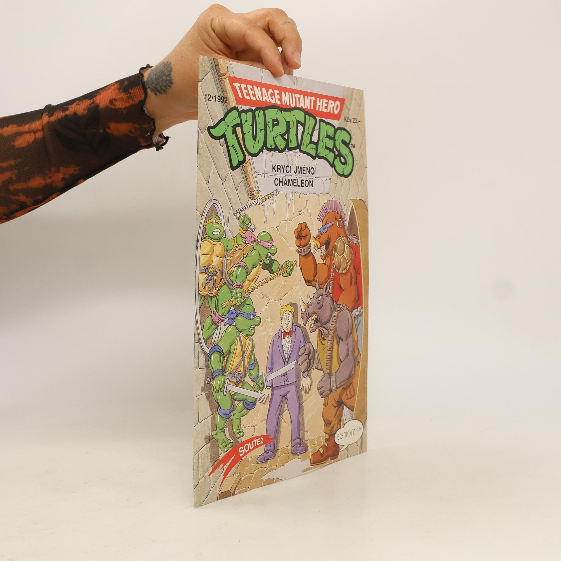 Teenage Mutant Hero Turtles #12